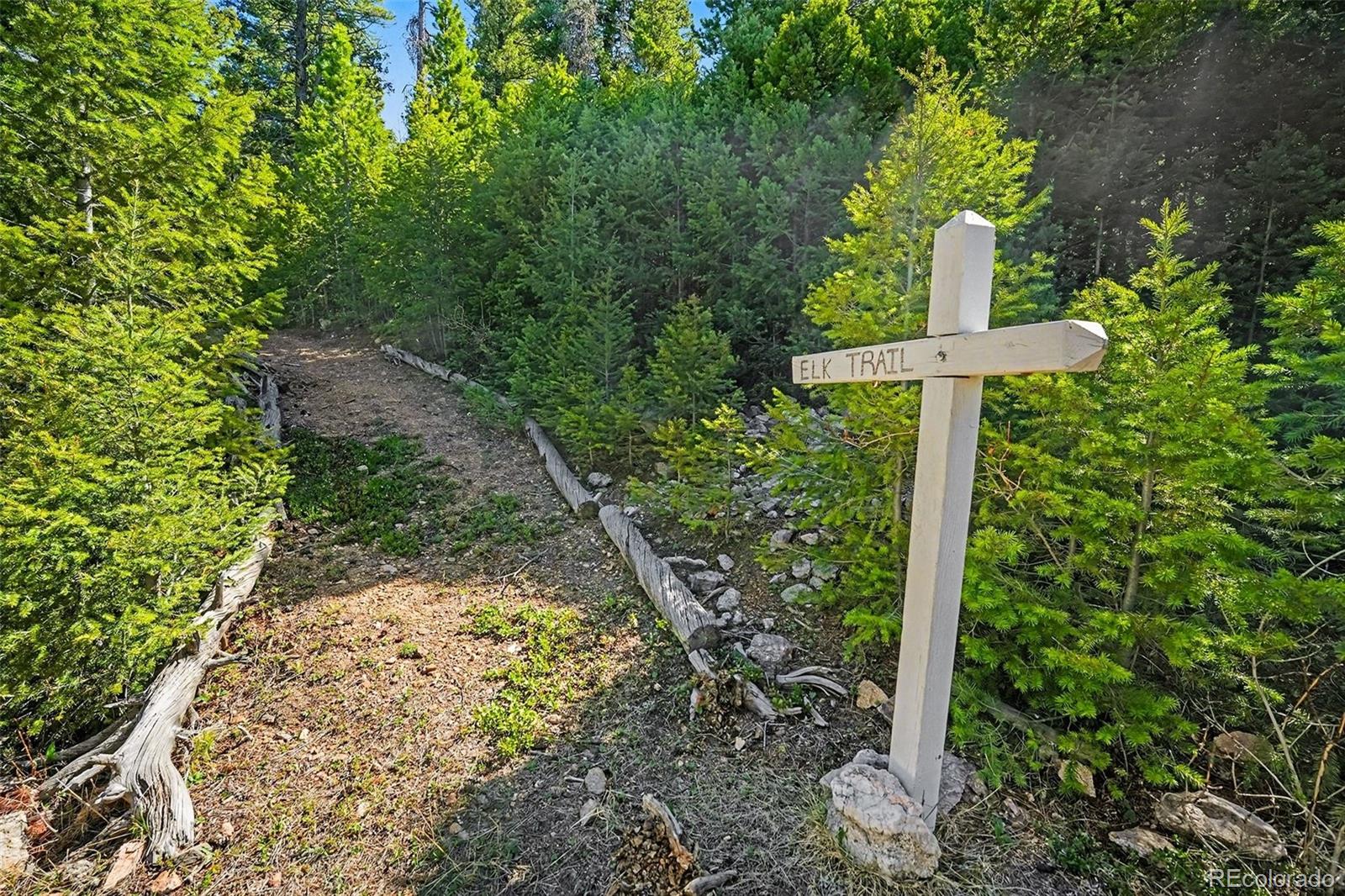 MLS Image #35 for 30851  pike view drive,conifer, Colorado