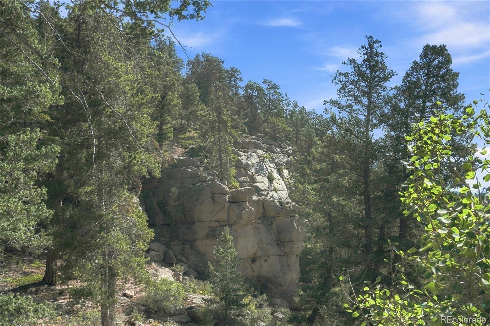 MLS Image #39 for 30851  pike view drive,conifer, Colorado