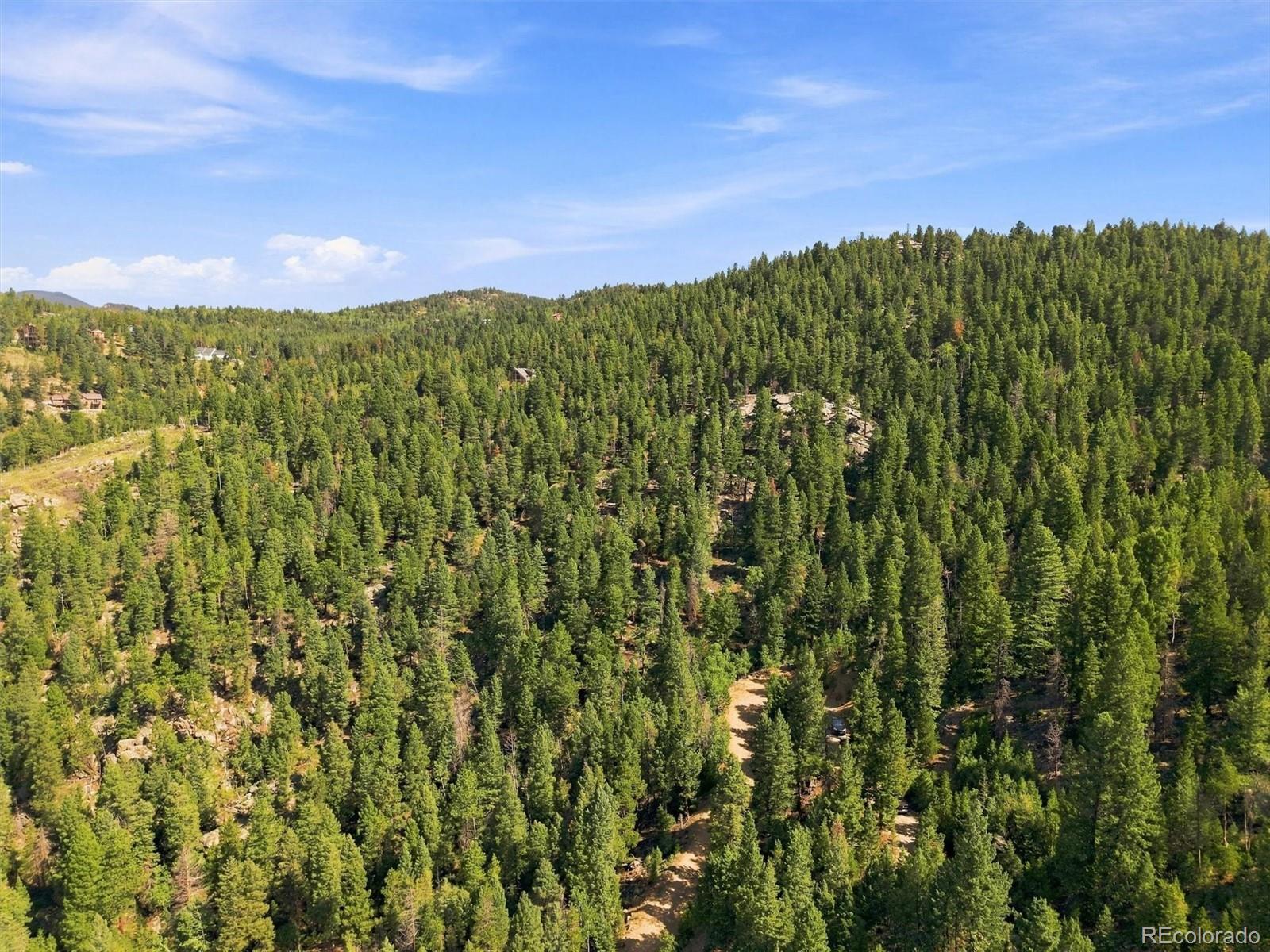 MLS Image #44 for 30851  pike view drive,conifer, Colorado