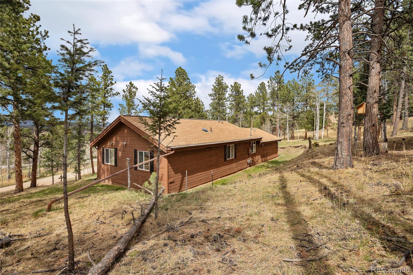 MLS Image #11 for 14  aspen drive,bailey, Colorado