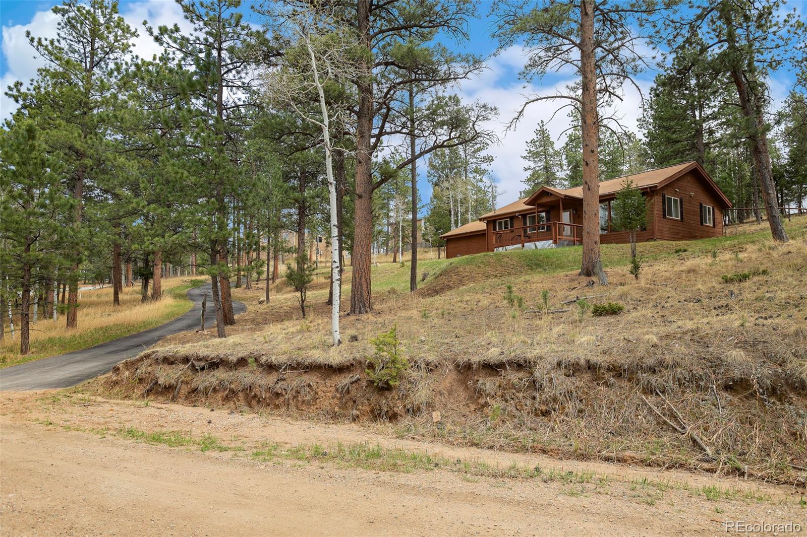 MLS Image #5 for 14  aspen drive,bailey, Colorado