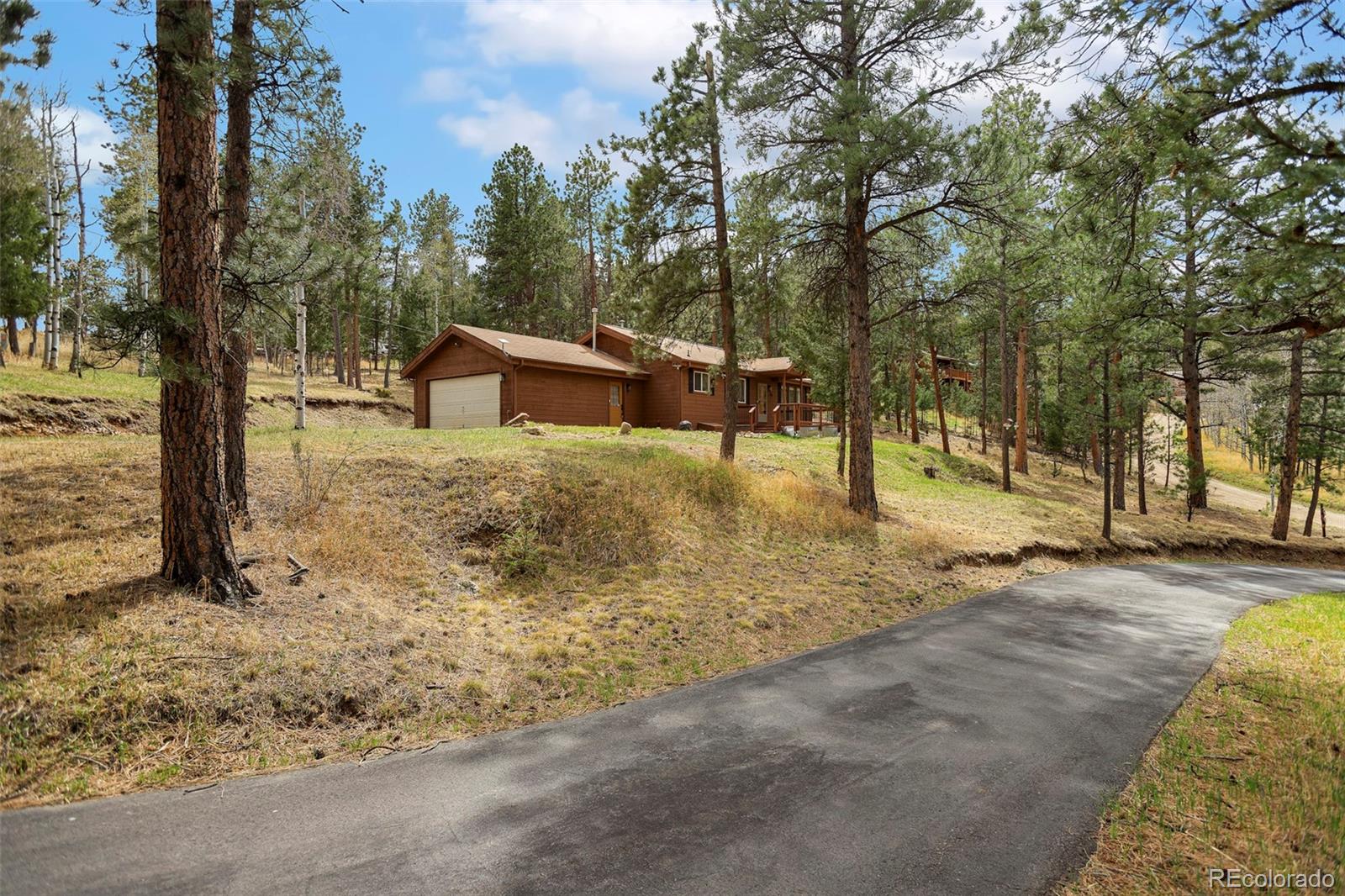 MLS Image #6 for 14  aspen drive,bailey, Colorado