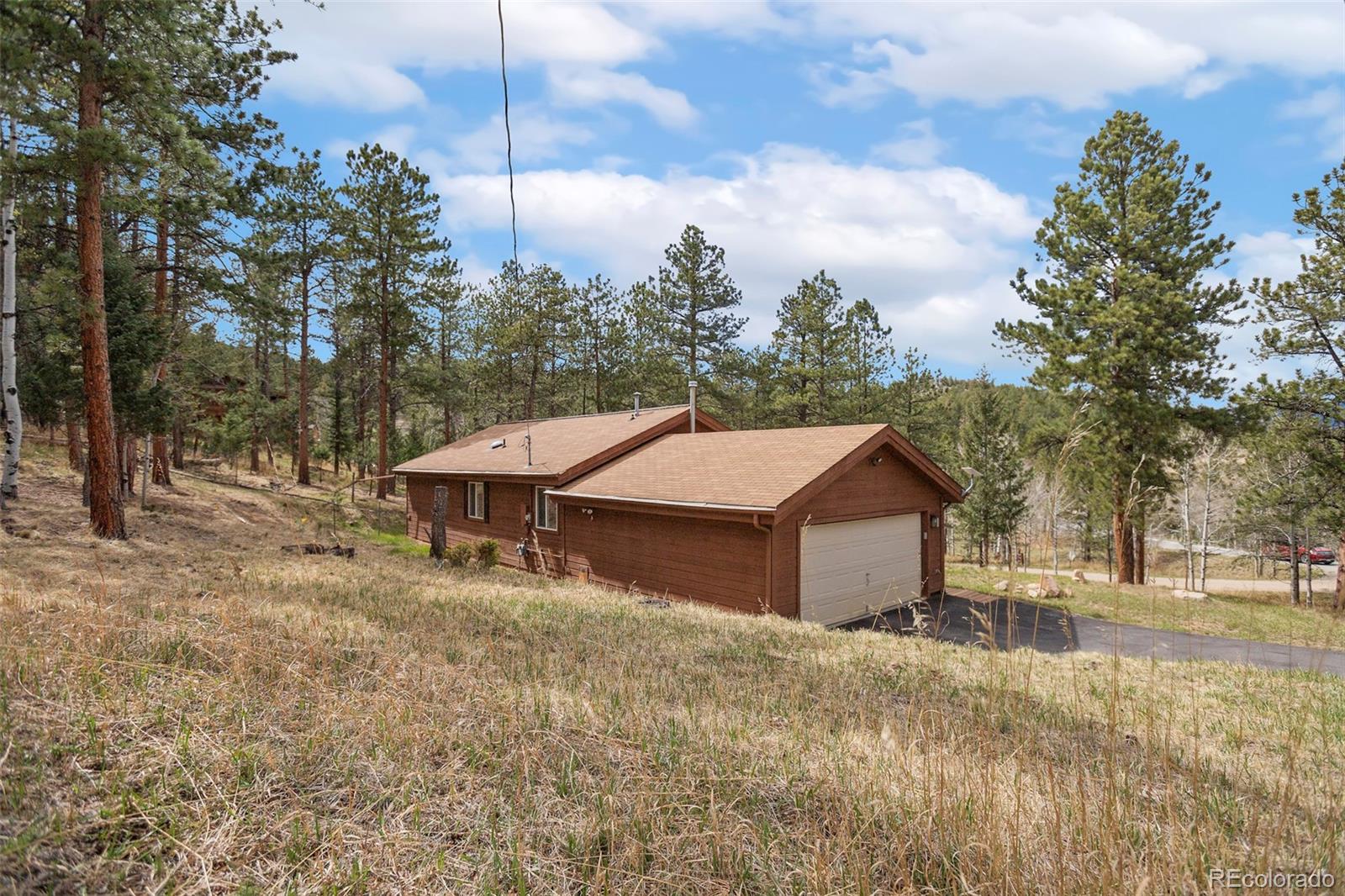 MLS Image #8 for 14  aspen drive,bailey, Colorado