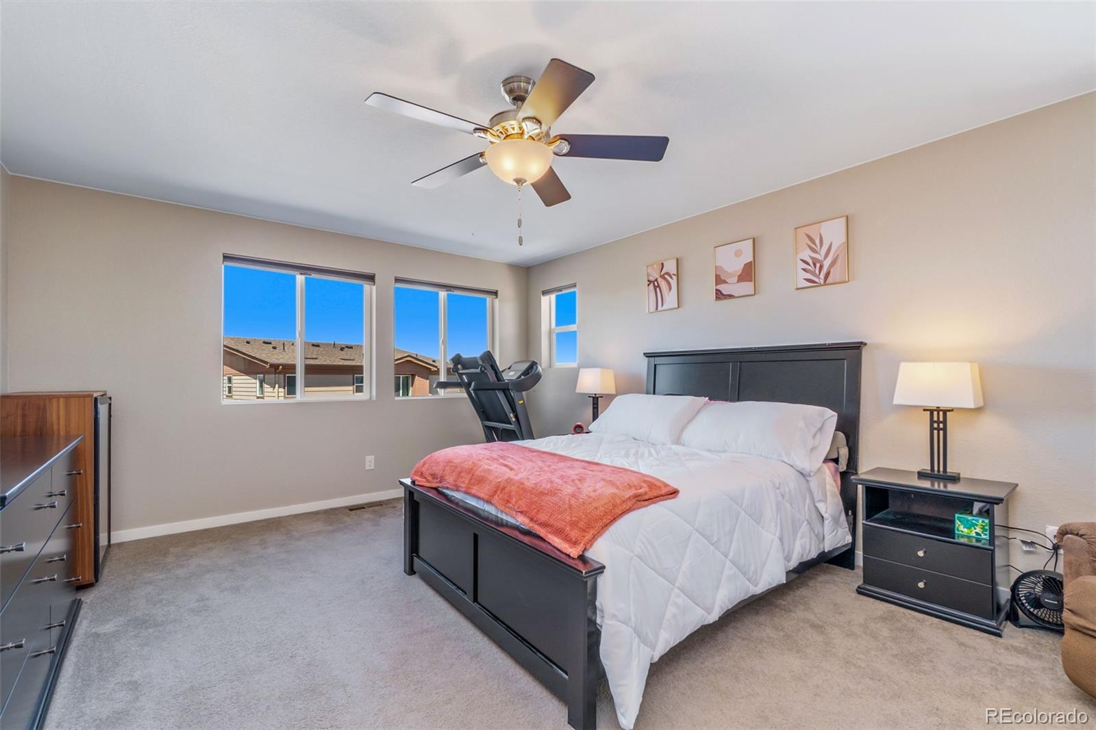 MLS Image #10 for 17987 e 107th way,commerce city, Colorado