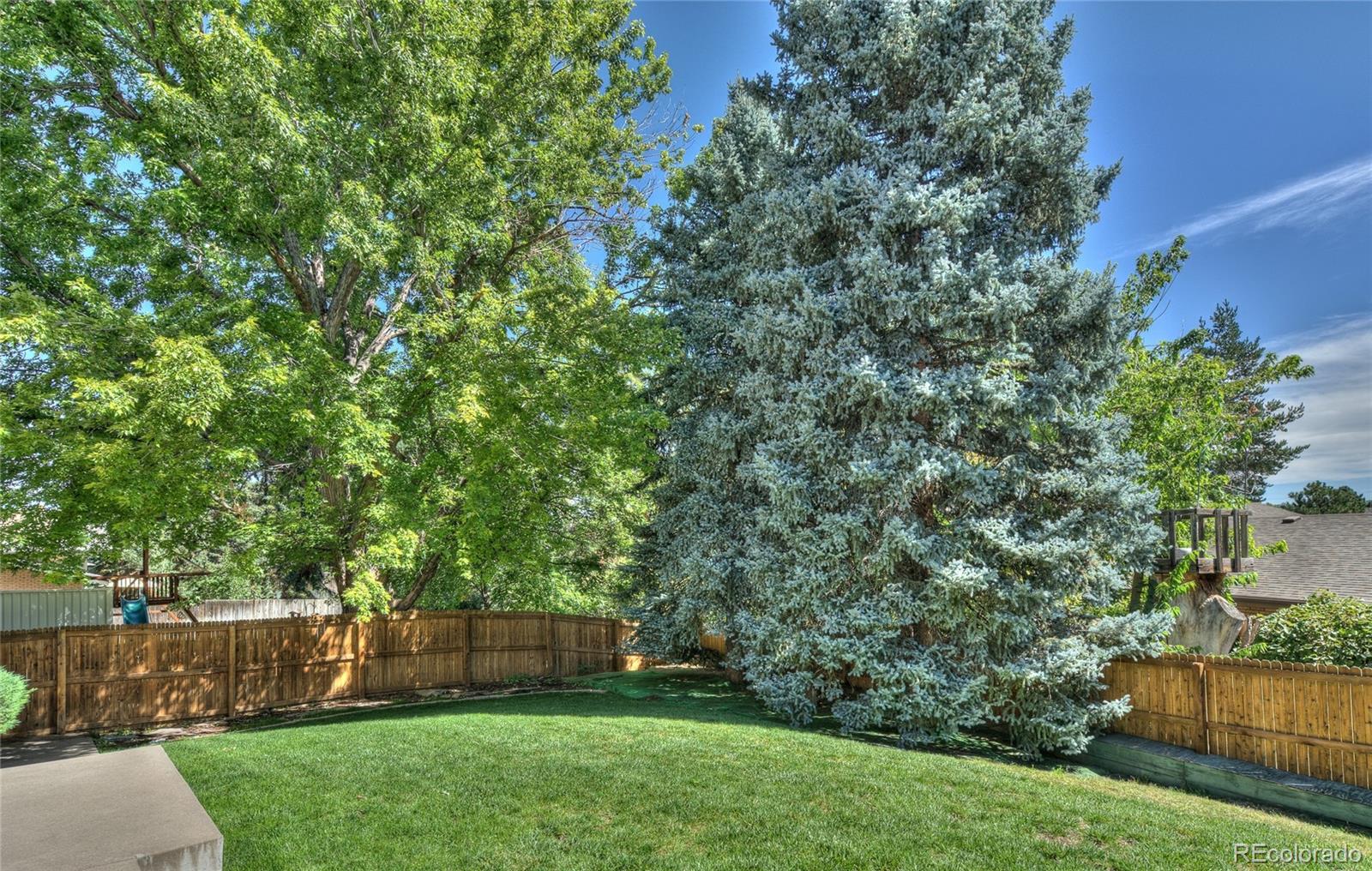 MLS Image #25 for    ,, Colorado