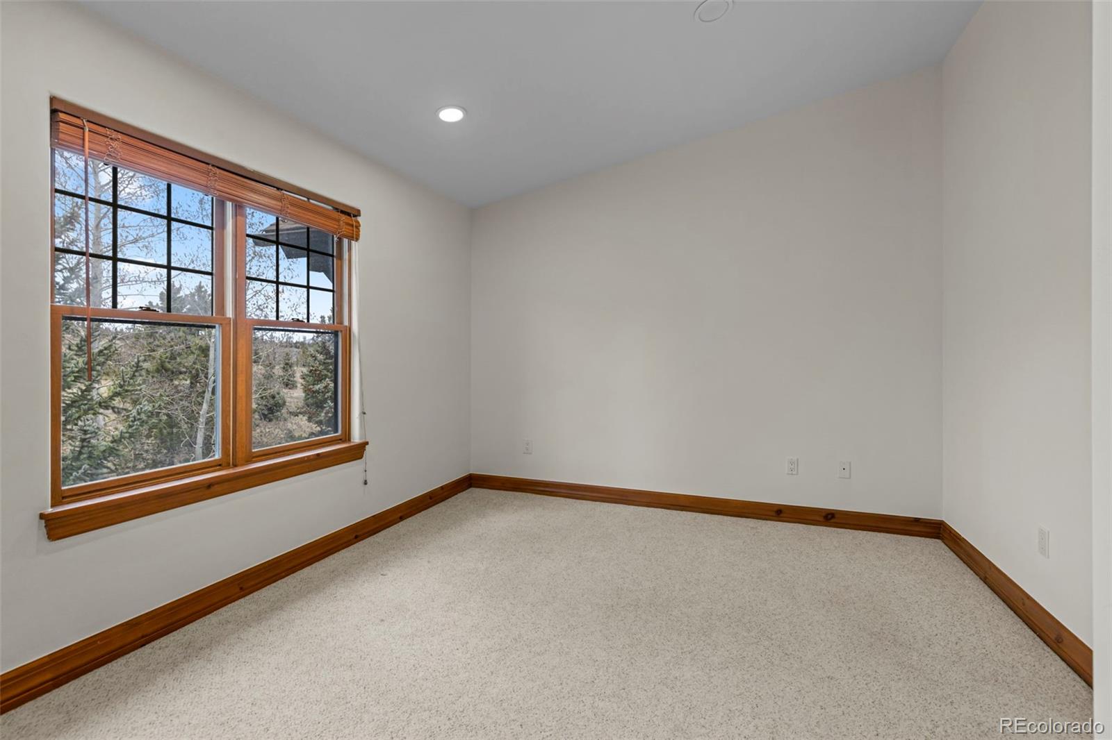 MLS Image #18 for 85  chestnut lane,breckenridge, Colorado