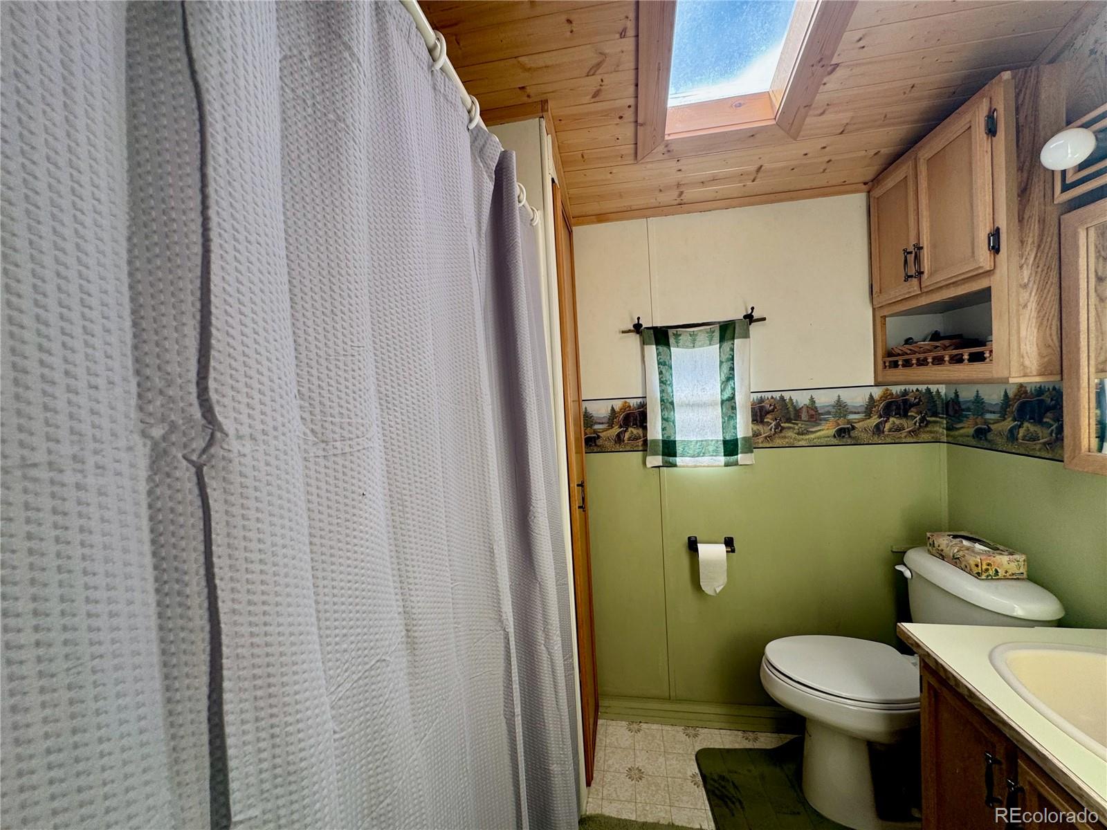 MLS Image #11 for 425  depot drive,hartsel, Colorado