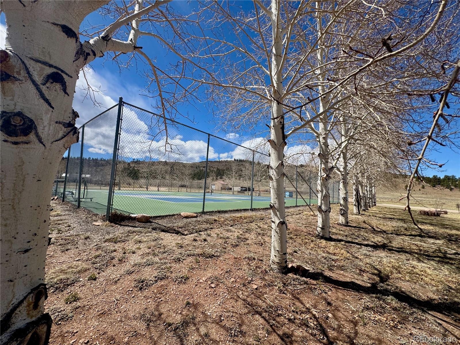 MLS Image #16 for 425  depot drive,hartsel, Colorado