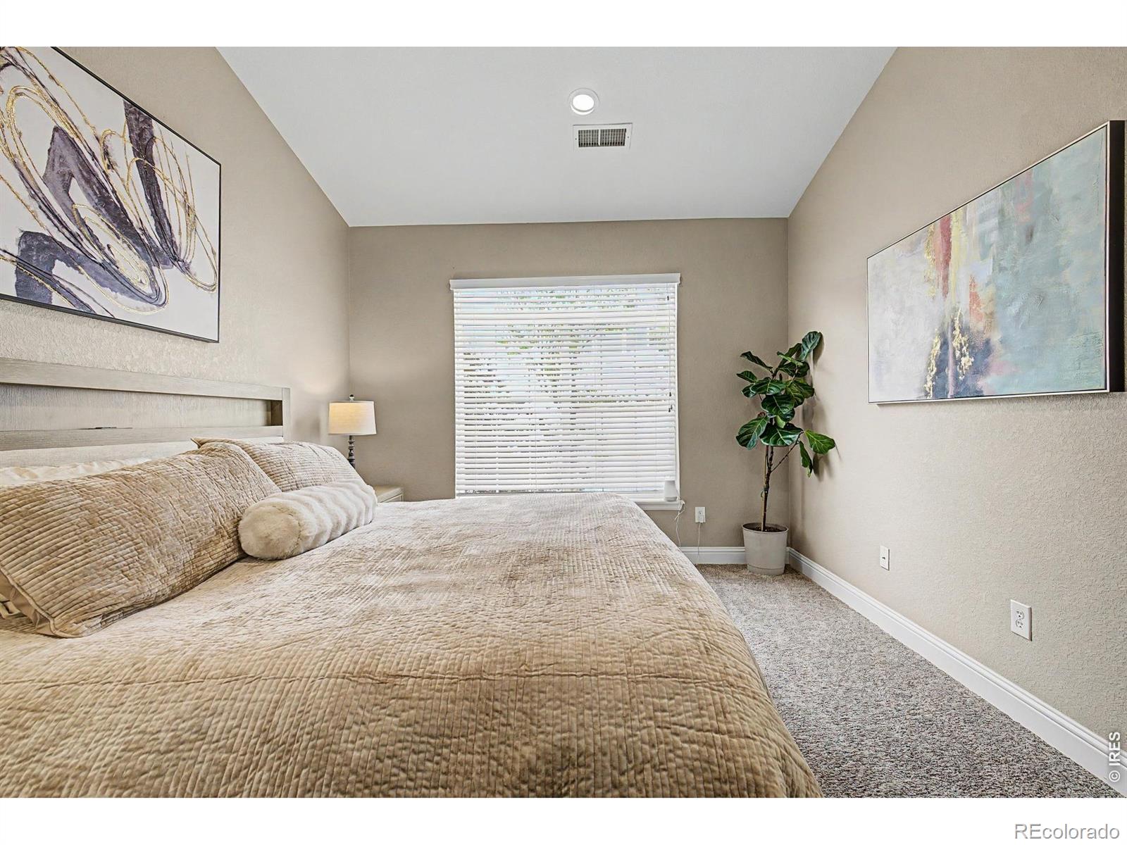 MLS Image #18 for 4457 s jebel court,centennial, Colorado