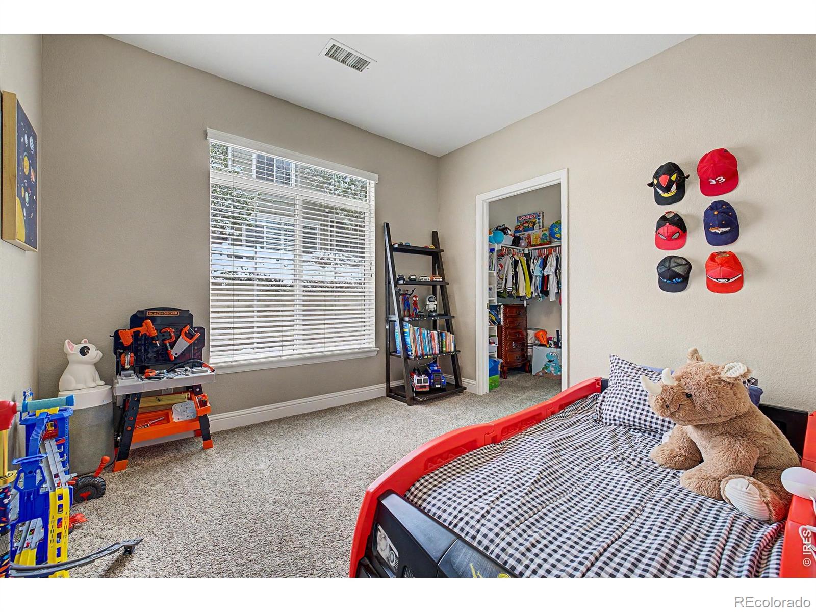MLS Image #22 for 4457 s jebel court,centennial, Colorado