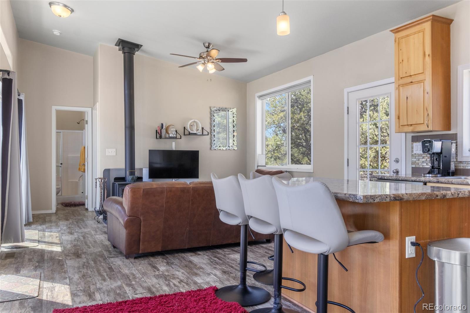 MLS Image #12 for 3738  jubilant way,crestone, Colorado