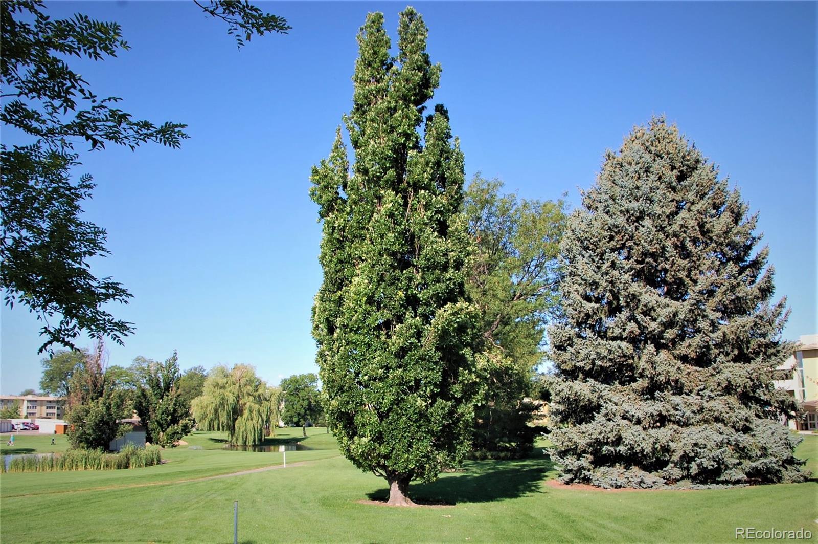 MLS Image #20 for 9360 e center avenue,denver, Colorado