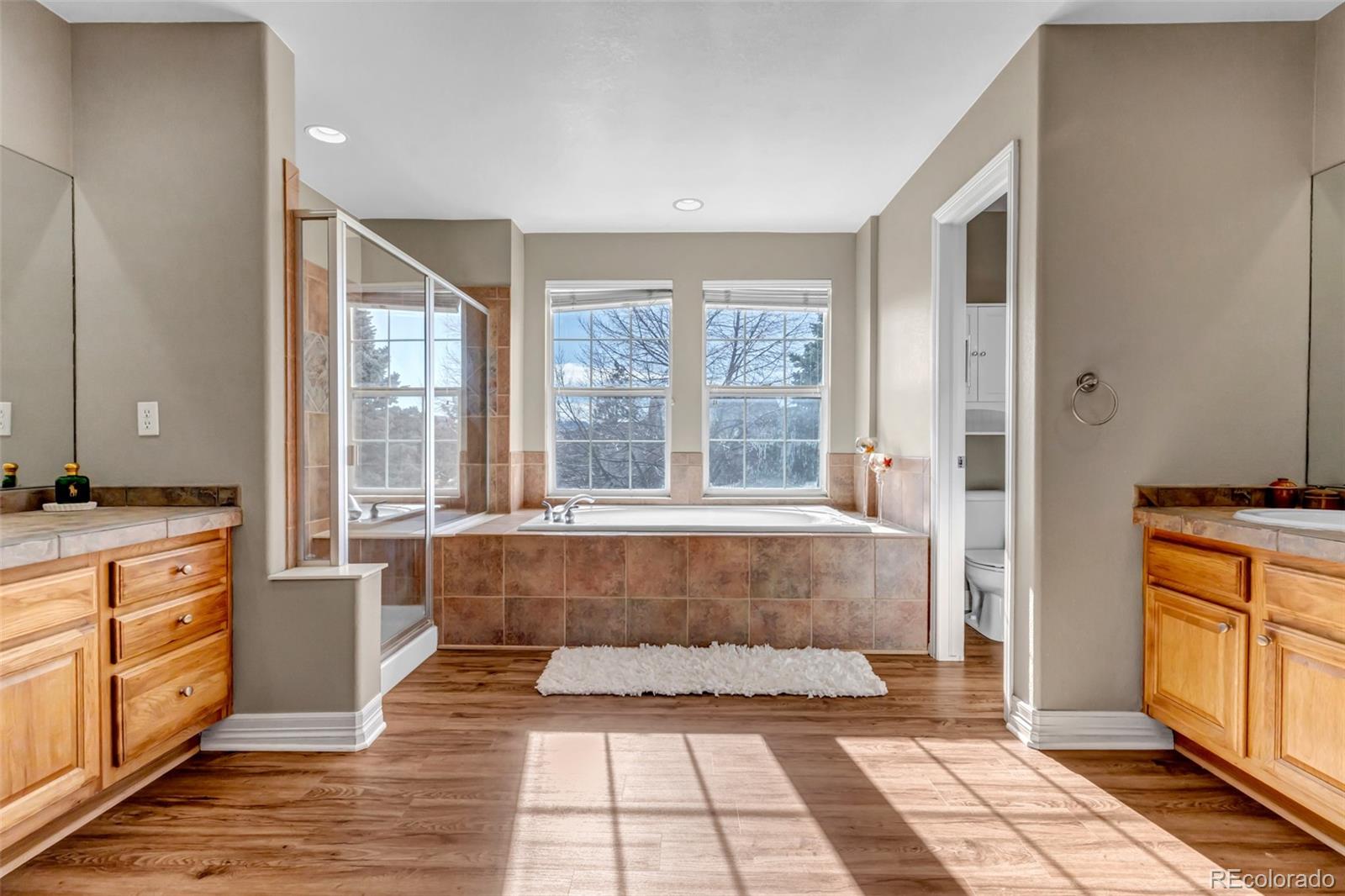 MLS Image #21 for 3188  soaring eagle lane,castle rock, Colorado