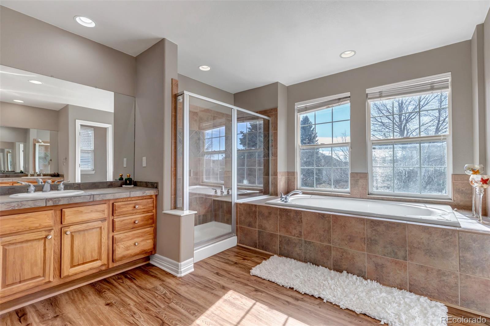 MLS Image #22 for 3188  soaring eagle lane,castle rock, Colorado