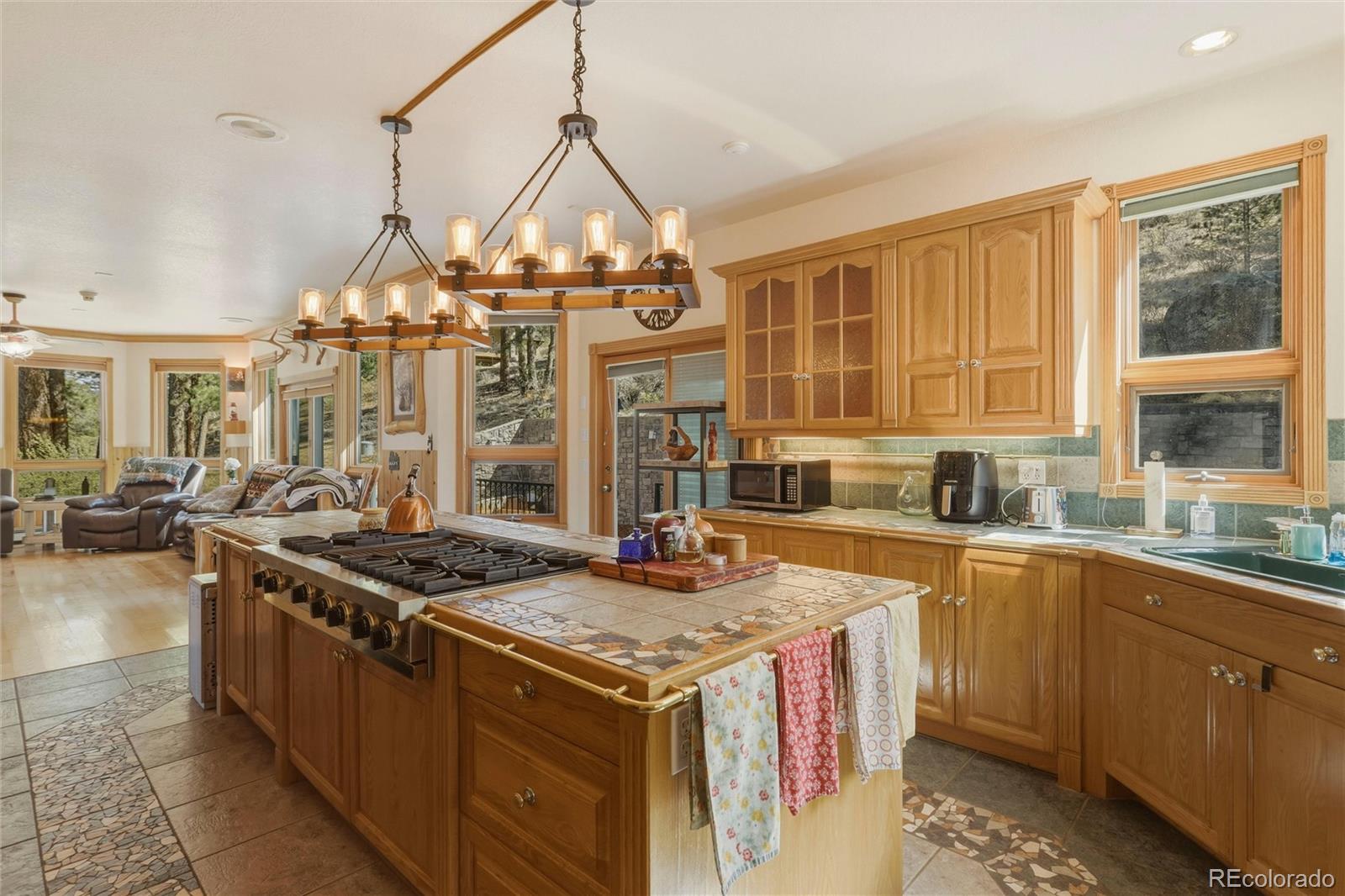 MLS Image #10 for 465 n skyline drive,south fork, Colorado