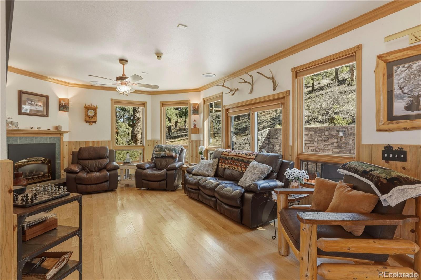 MLS Image #5 for 465 n skyline drive,south fork, Colorado