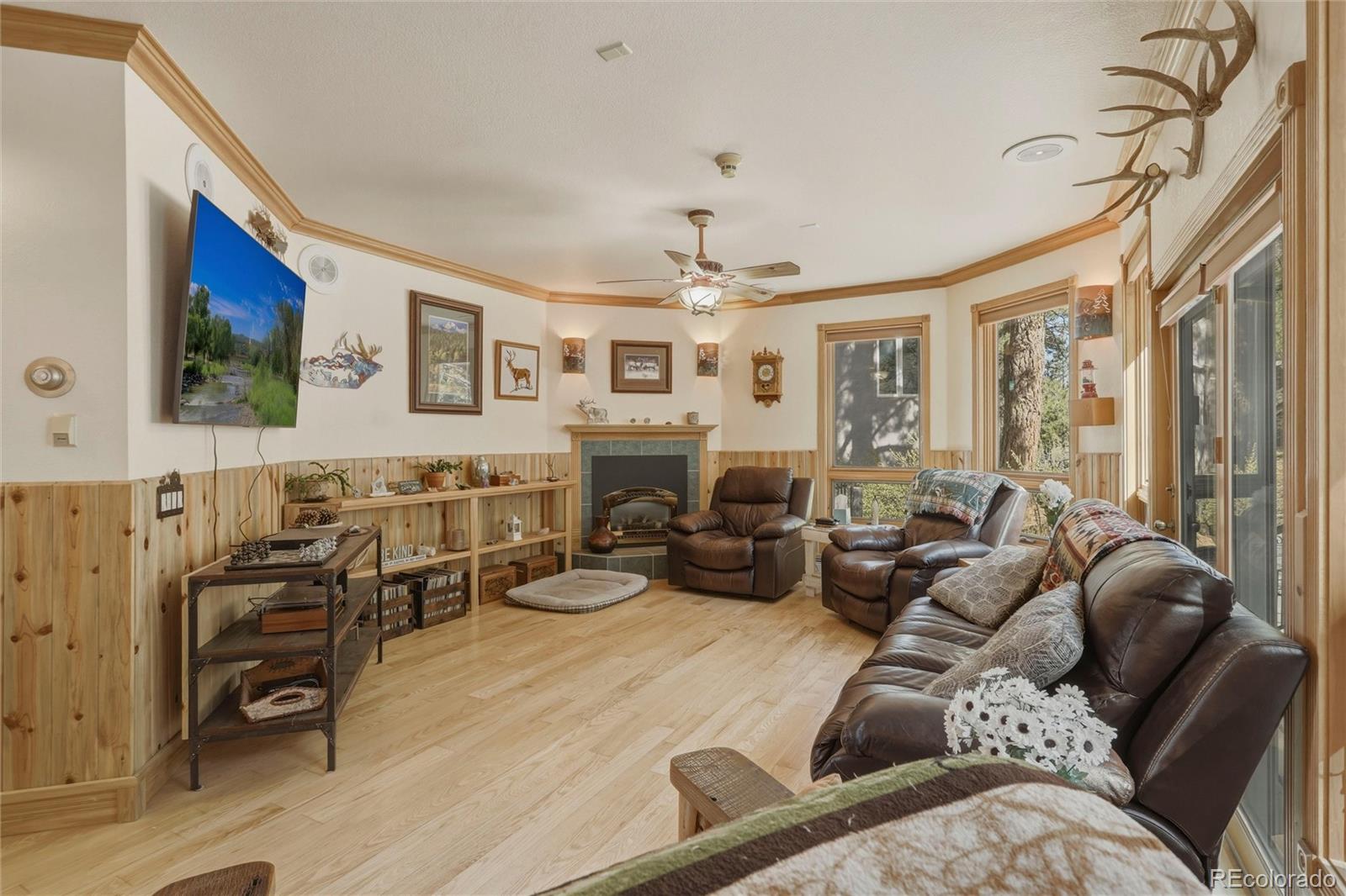 MLS Image #6 for 465 n skyline drive,south fork, Colorado