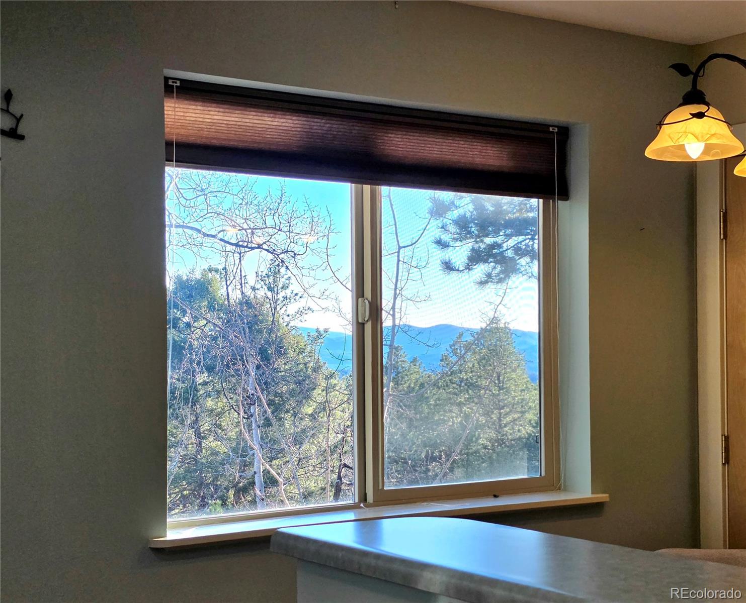 MLS Image #12 for 2063  vagabond creek drive,lake george, Colorado