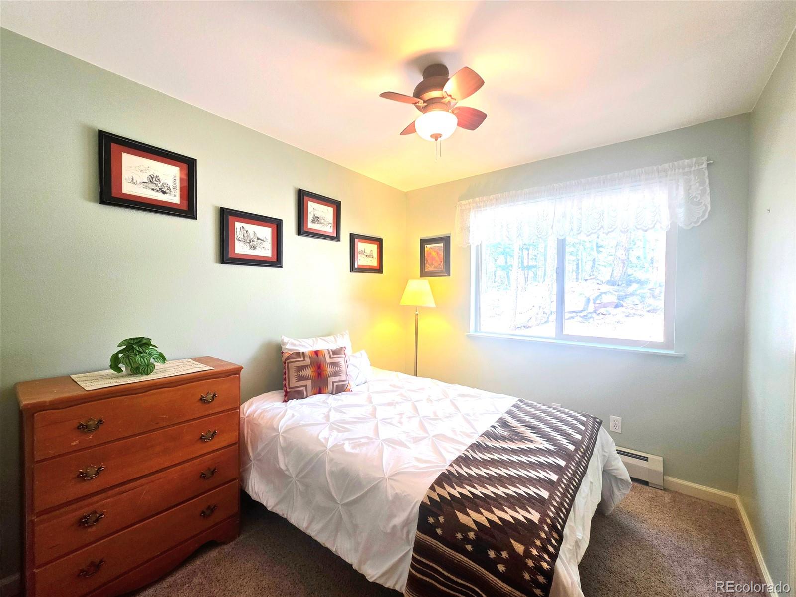 MLS Image #15 for 2063  vagabond creek drive,lake george, Colorado