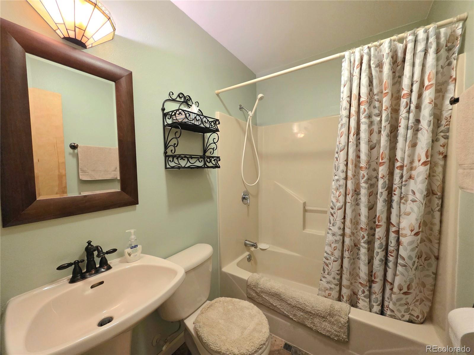 MLS Image #16 for 2063  vagabond creek drive,lake george, Colorado