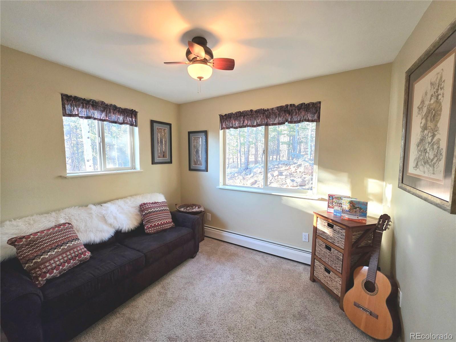 MLS Image #17 for 2063  vagabond creek drive,lake george, Colorado