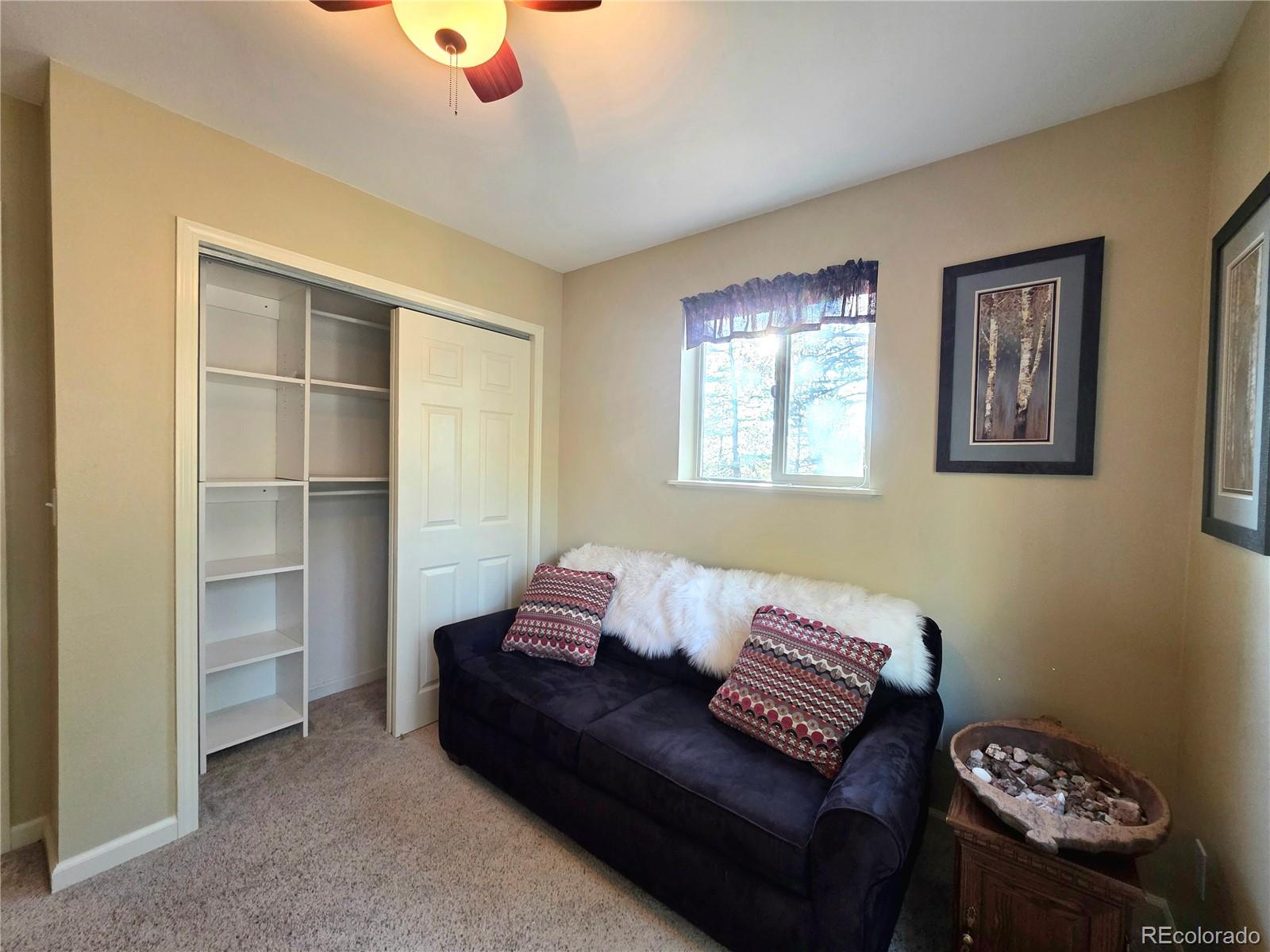 MLS Image #18 for 2063  vagabond creek drive,lake george, Colorado