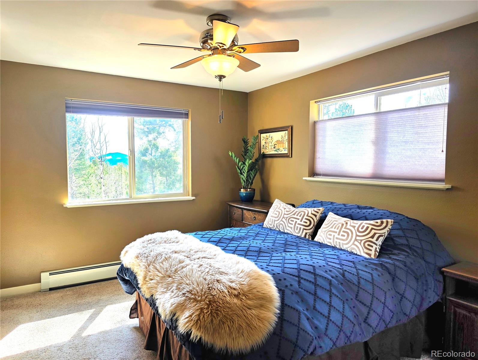 MLS Image #19 for 2063  vagabond creek drive,lake george, Colorado
