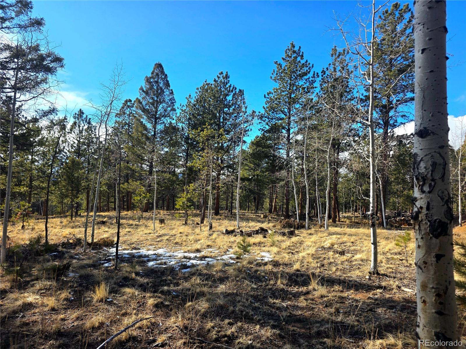 MLS Image #2 for 2063  vagabond creek drive,lake george, Colorado