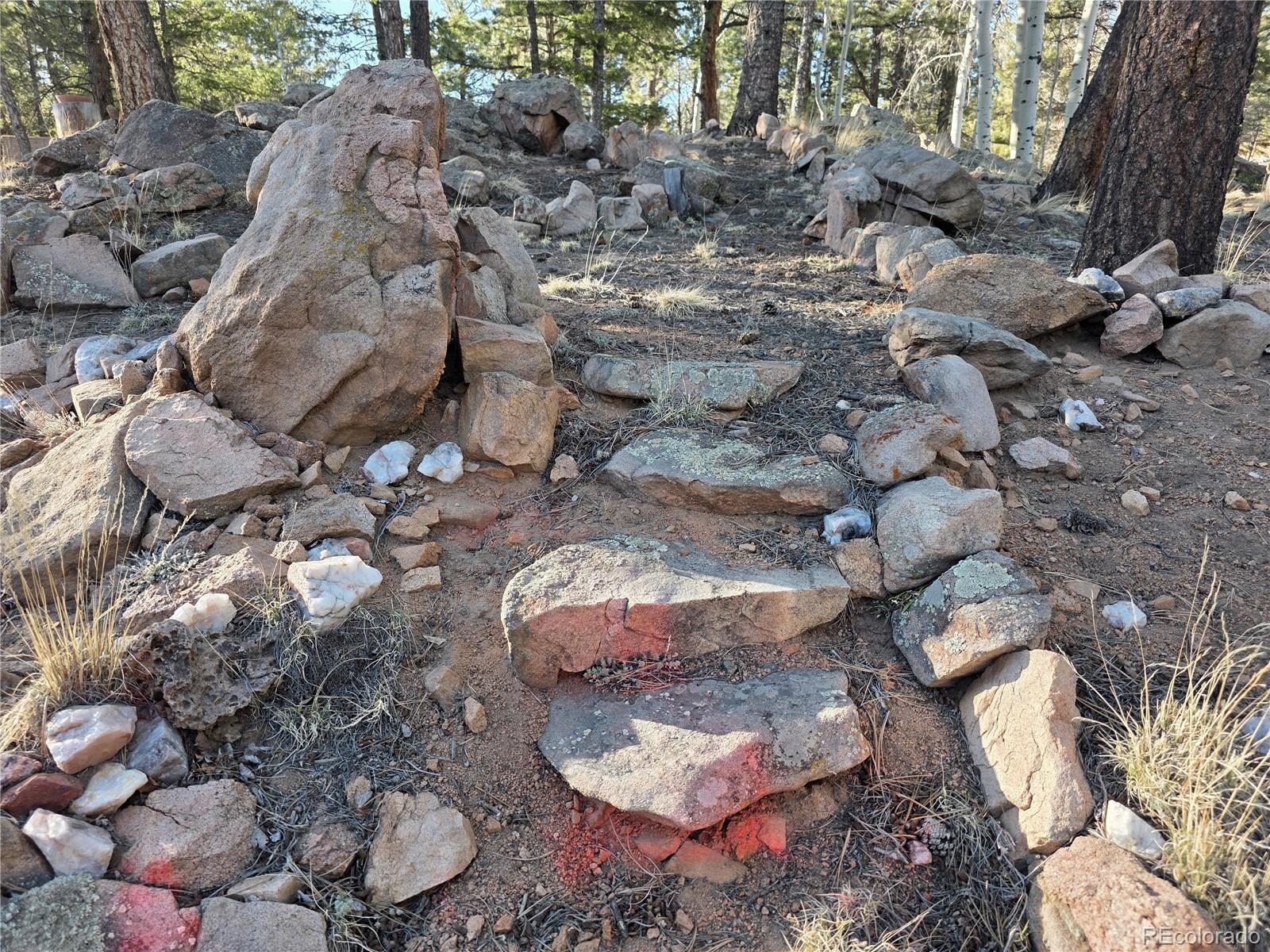 MLS Image #23 for 2063  vagabond creek drive,lake george, Colorado