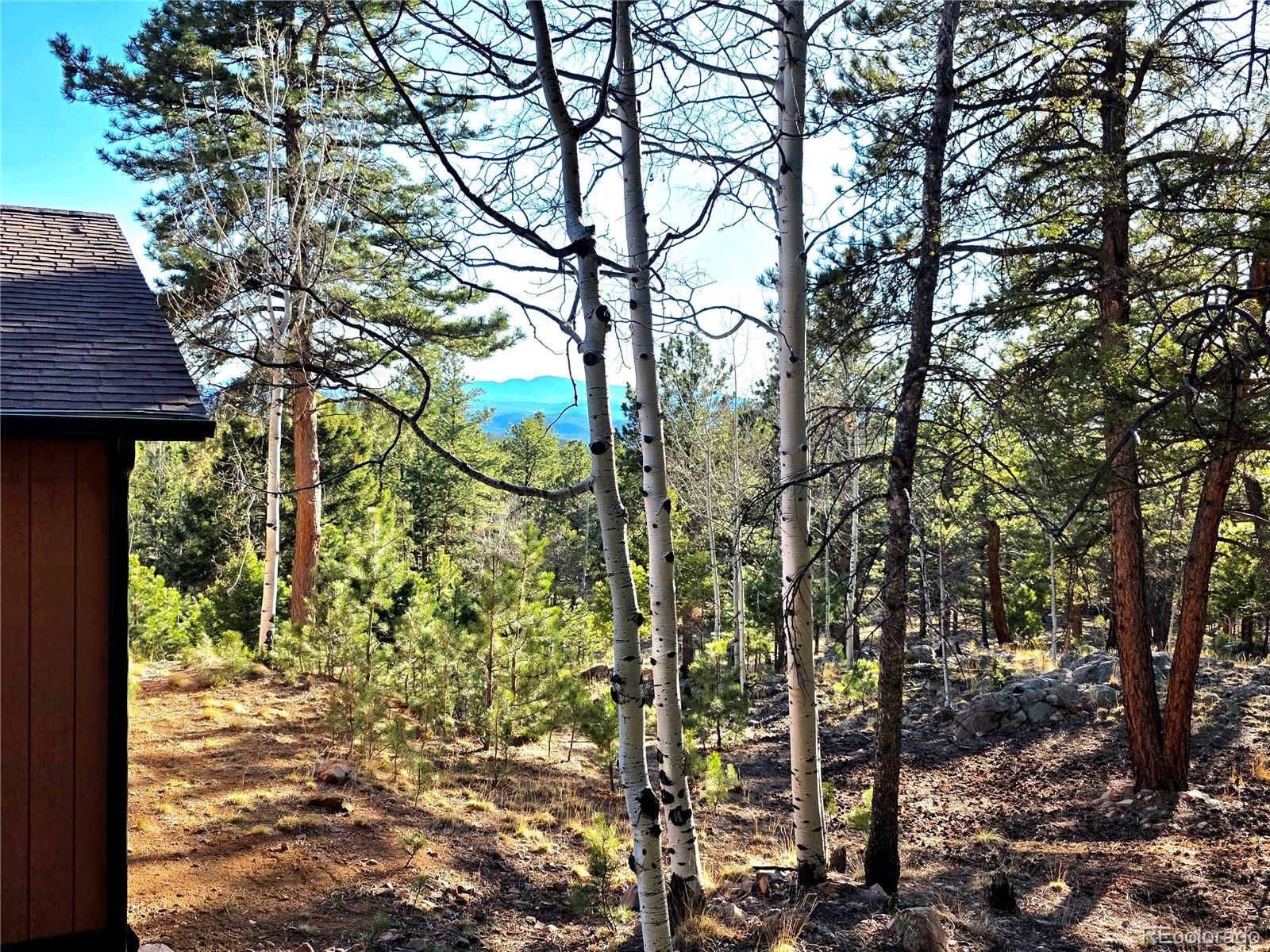 MLS Image #24 for 2063  vagabond creek drive,lake george, Colorado