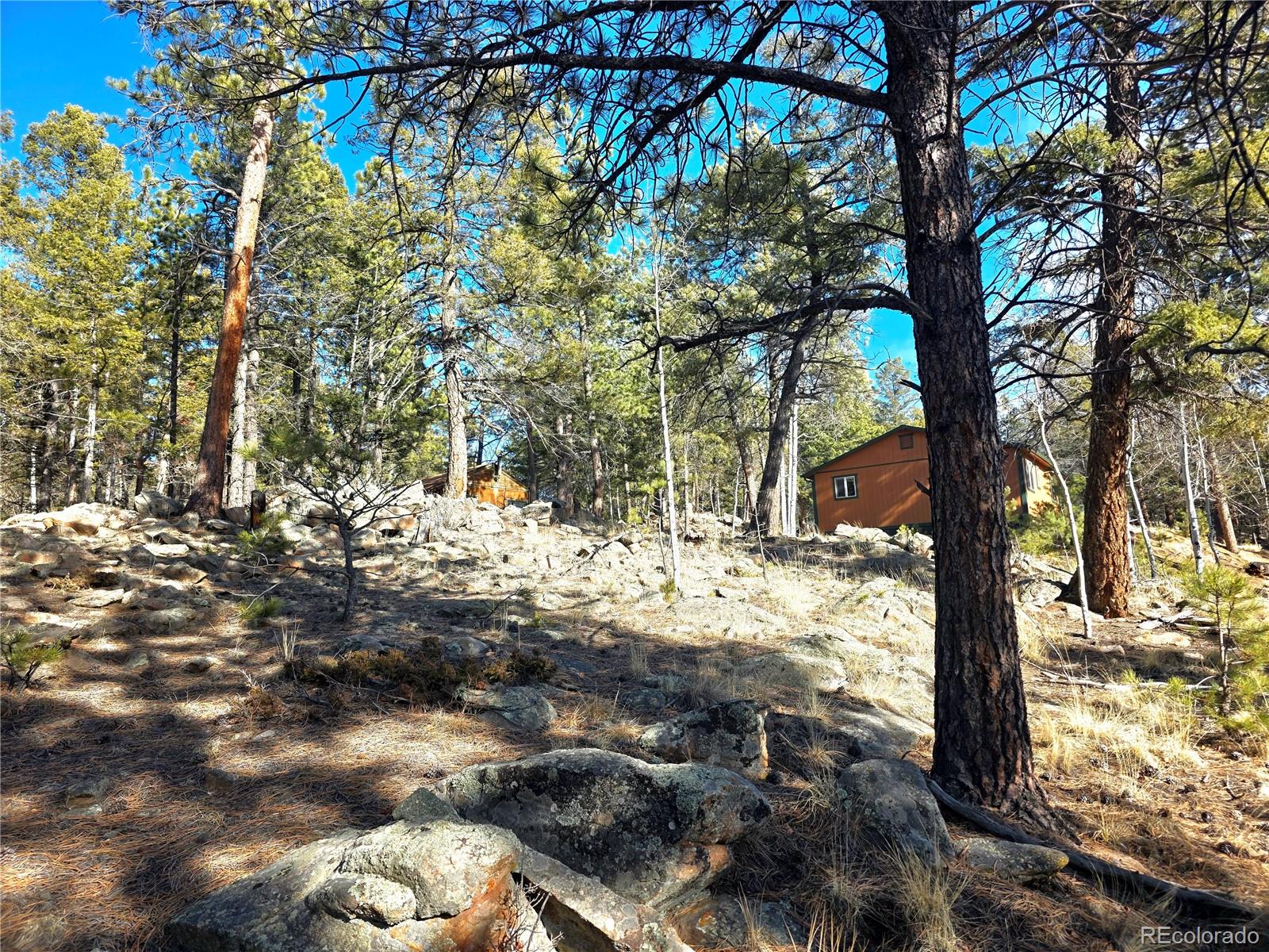 MLS Image #27 for 2063  vagabond creek drive,lake george, Colorado