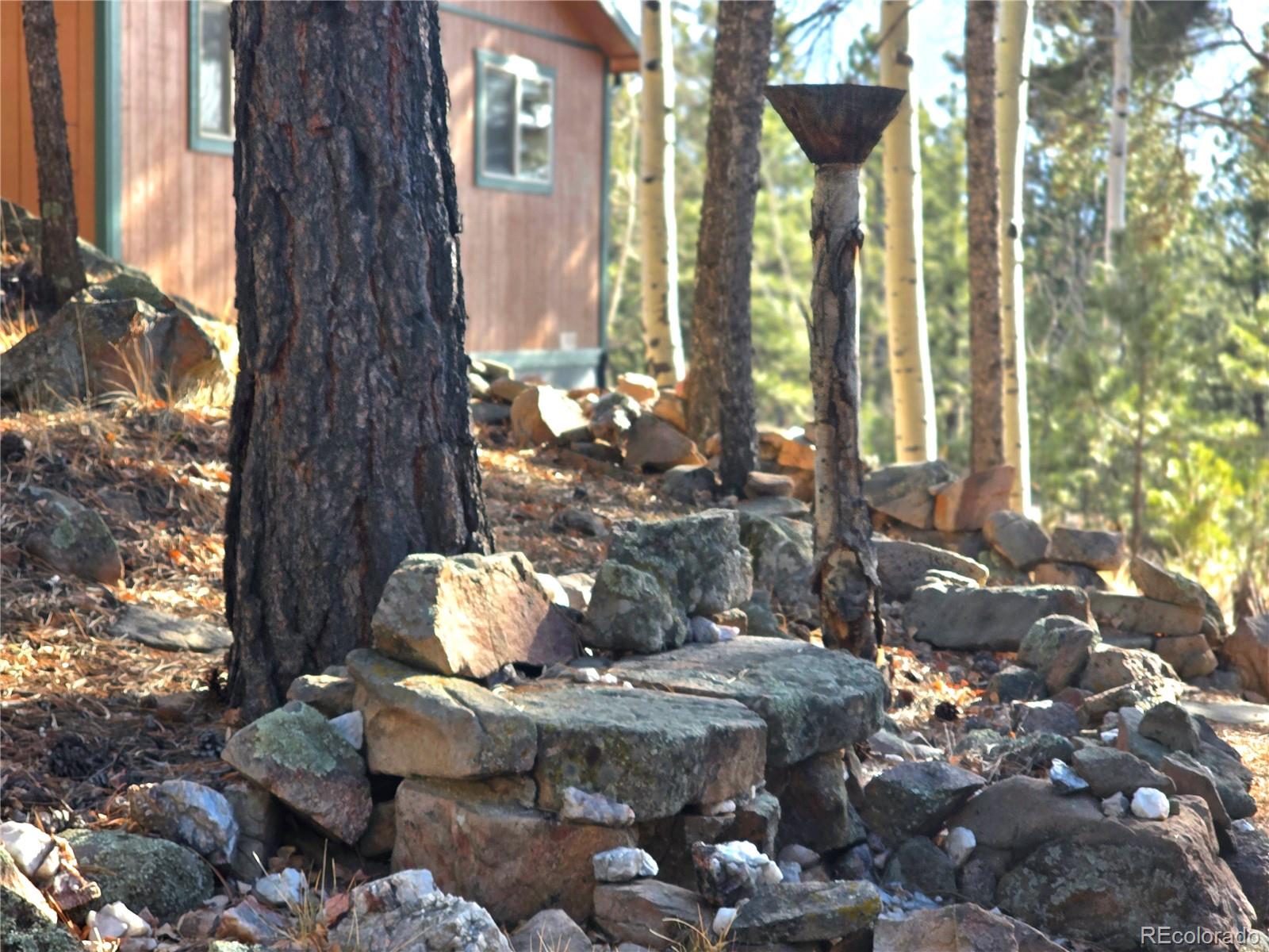 MLS Image #28 for 2063  vagabond creek drive,lake george, Colorado