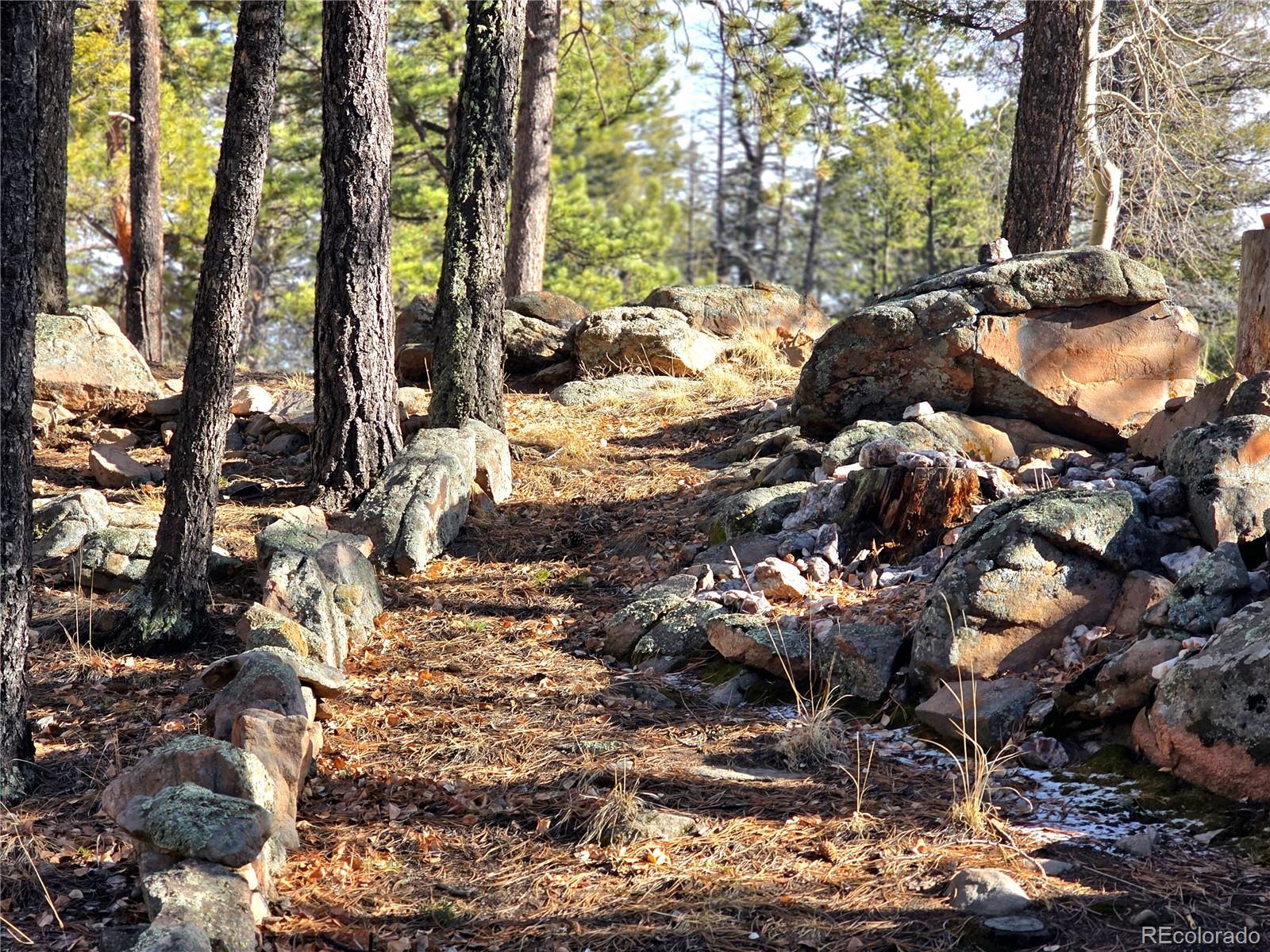 MLS Image #29 for 2063  vagabond creek drive,lake george, Colorado