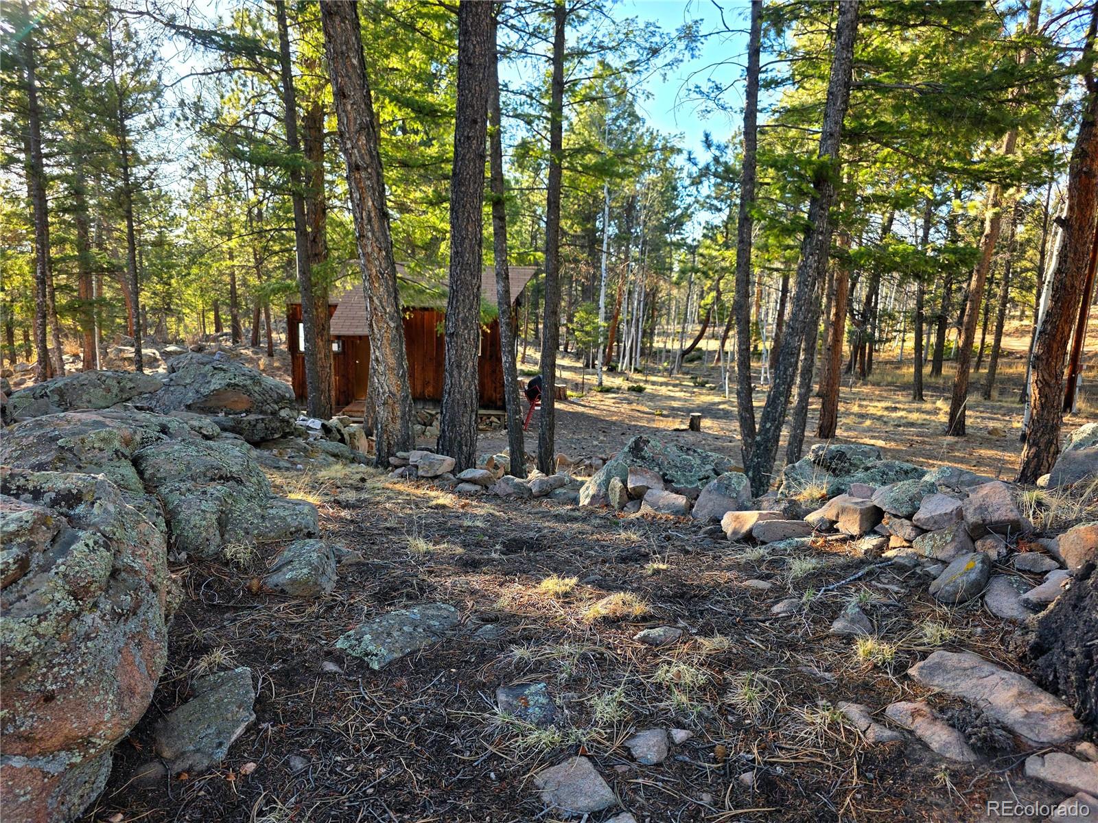 MLS Image #3 for 2063  vagabond creek drive,lake george, Colorado