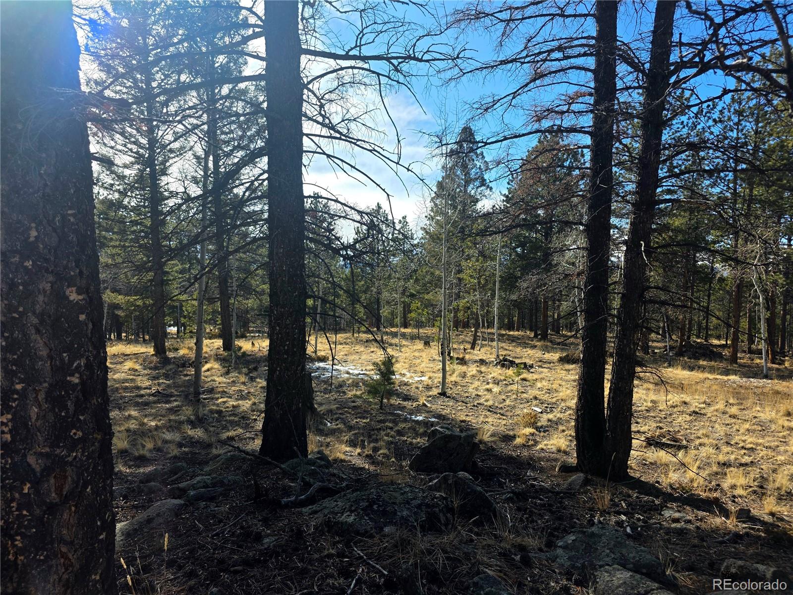 MLS Image #30 for 2063  vagabond creek drive,lake george, Colorado