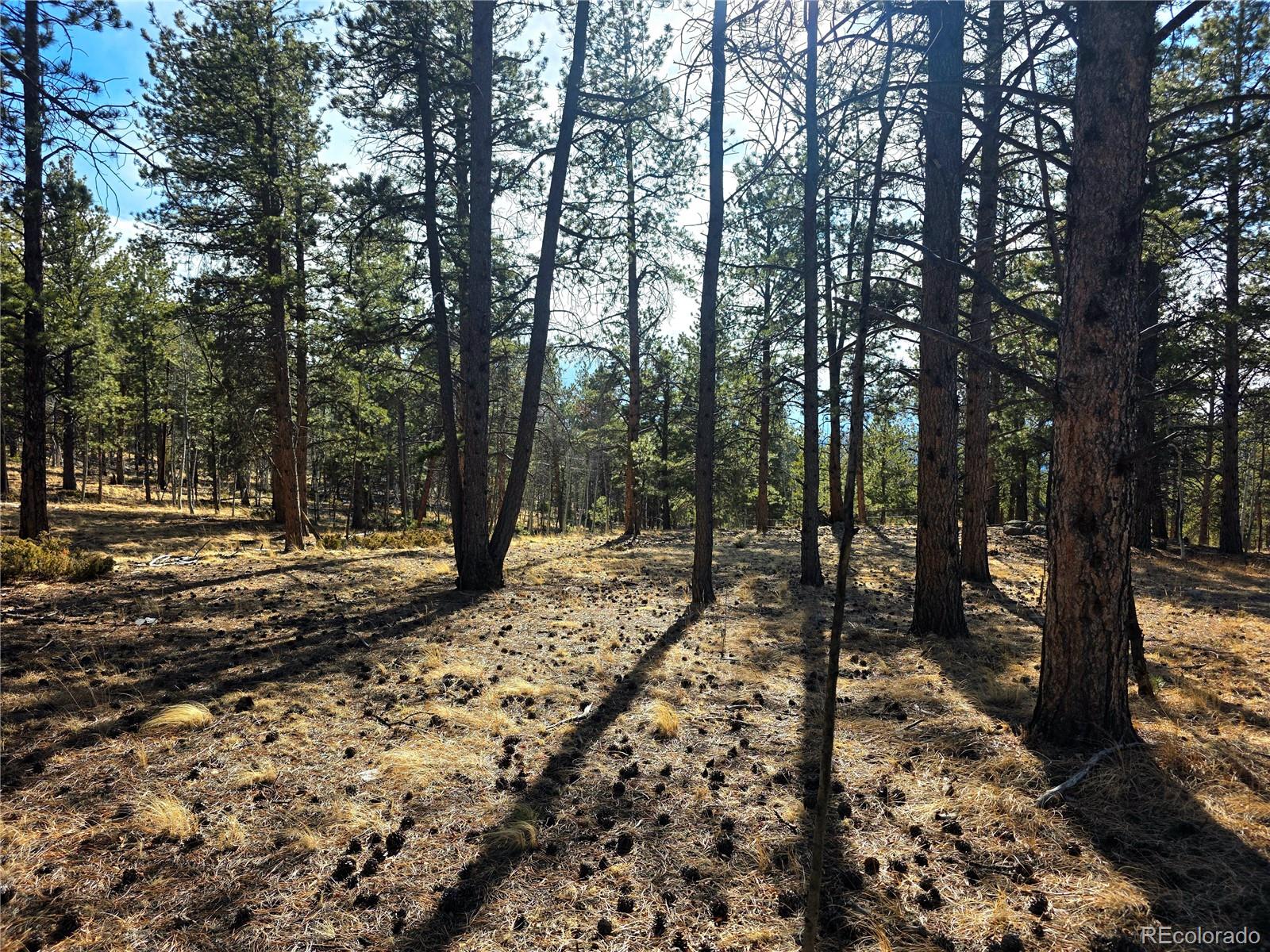 MLS Image #31 for 2063  vagabond creek drive,lake george, Colorado