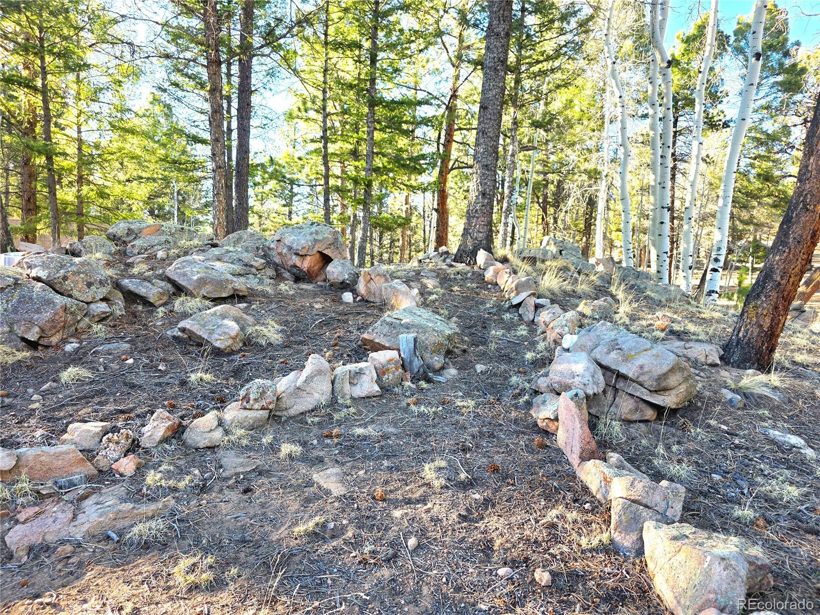 MLS Image #33 for 2063  vagabond creek drive,lake george, Colorado