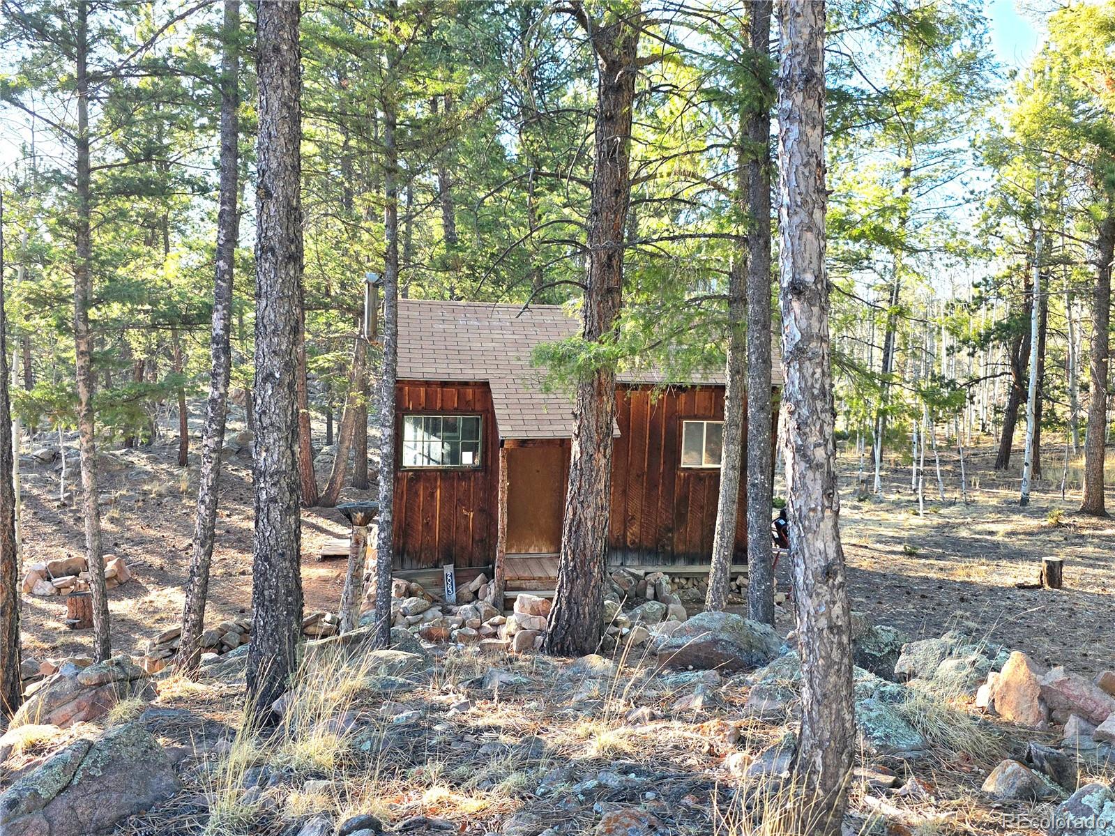 MLS Image #34 for 2063  vagabond creek drive,lake george, Colorado