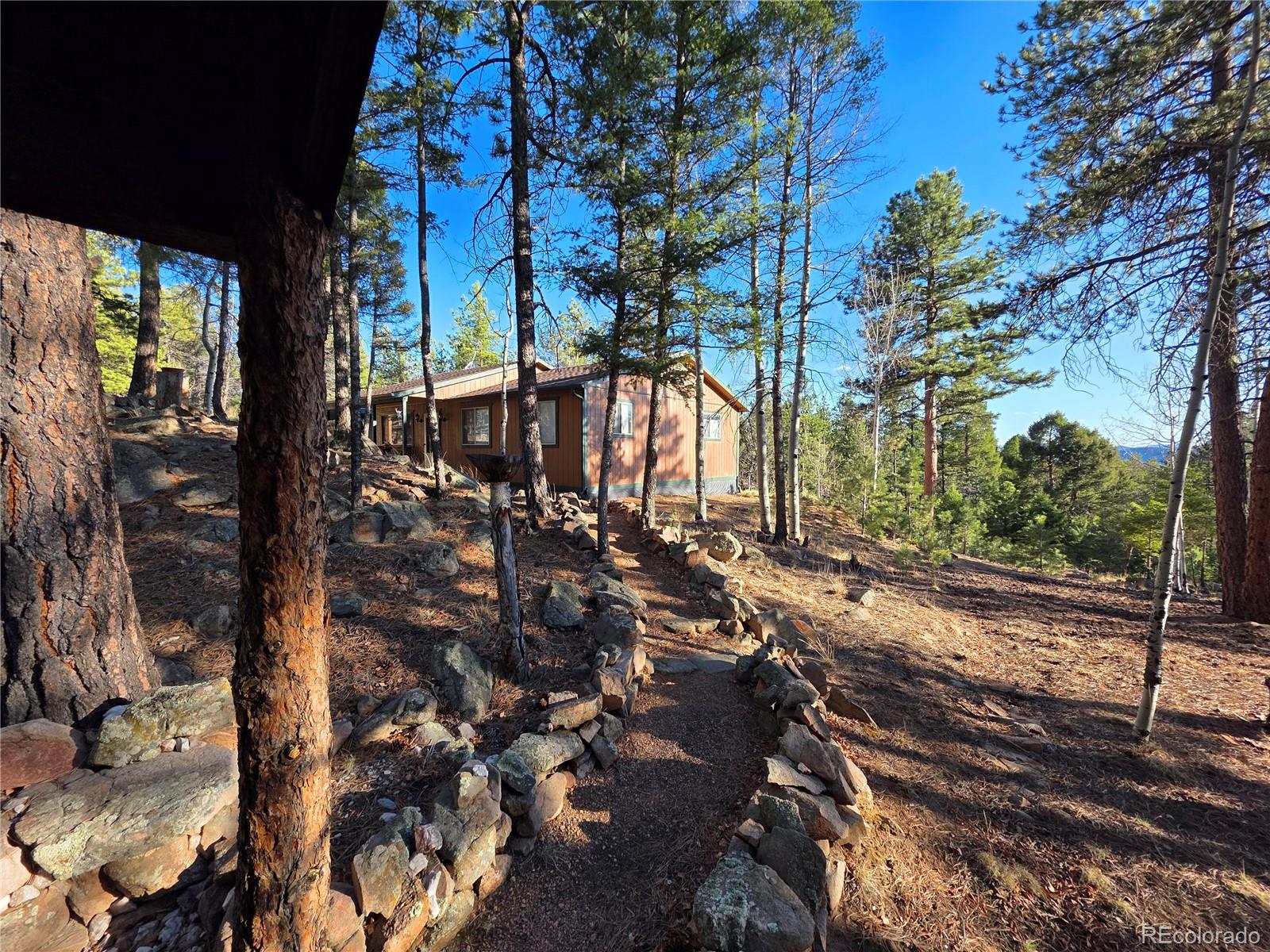 MLS Image #39 for 2063  vagabond creek drive,lake george, Colorado