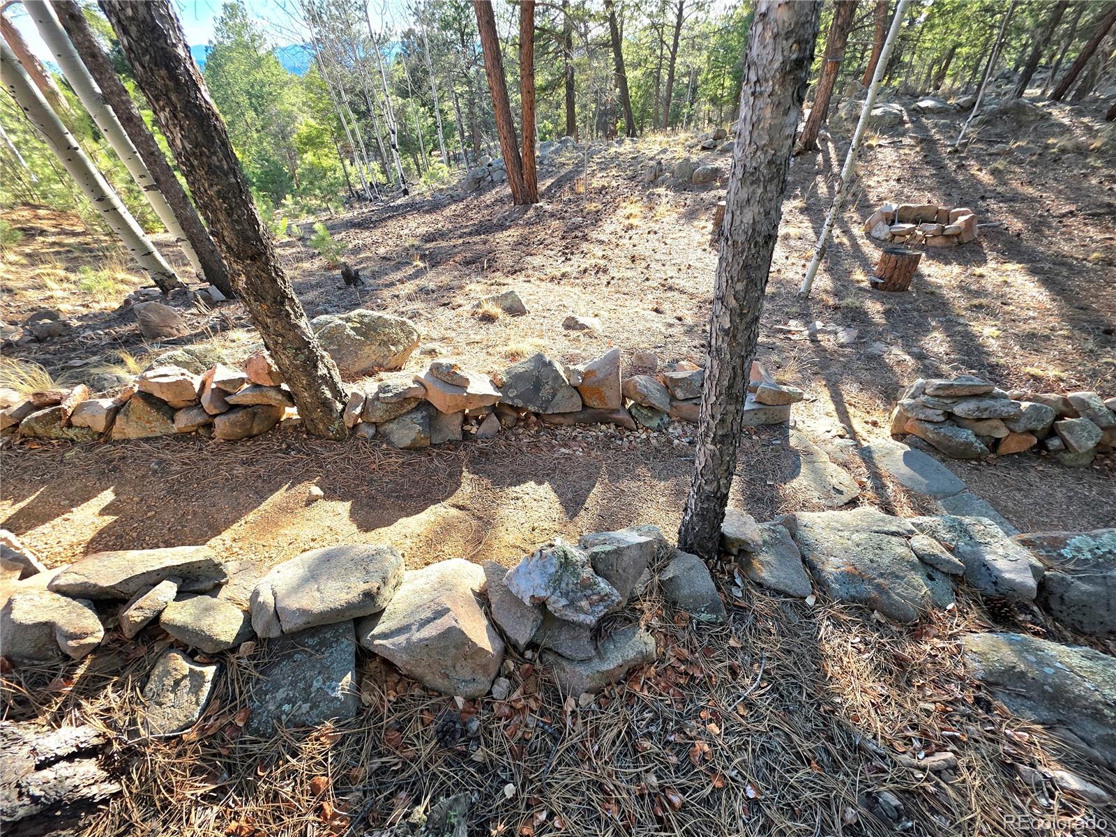 MLS Image #40 for 2063  vagabond creek drive,lake george, Colorado