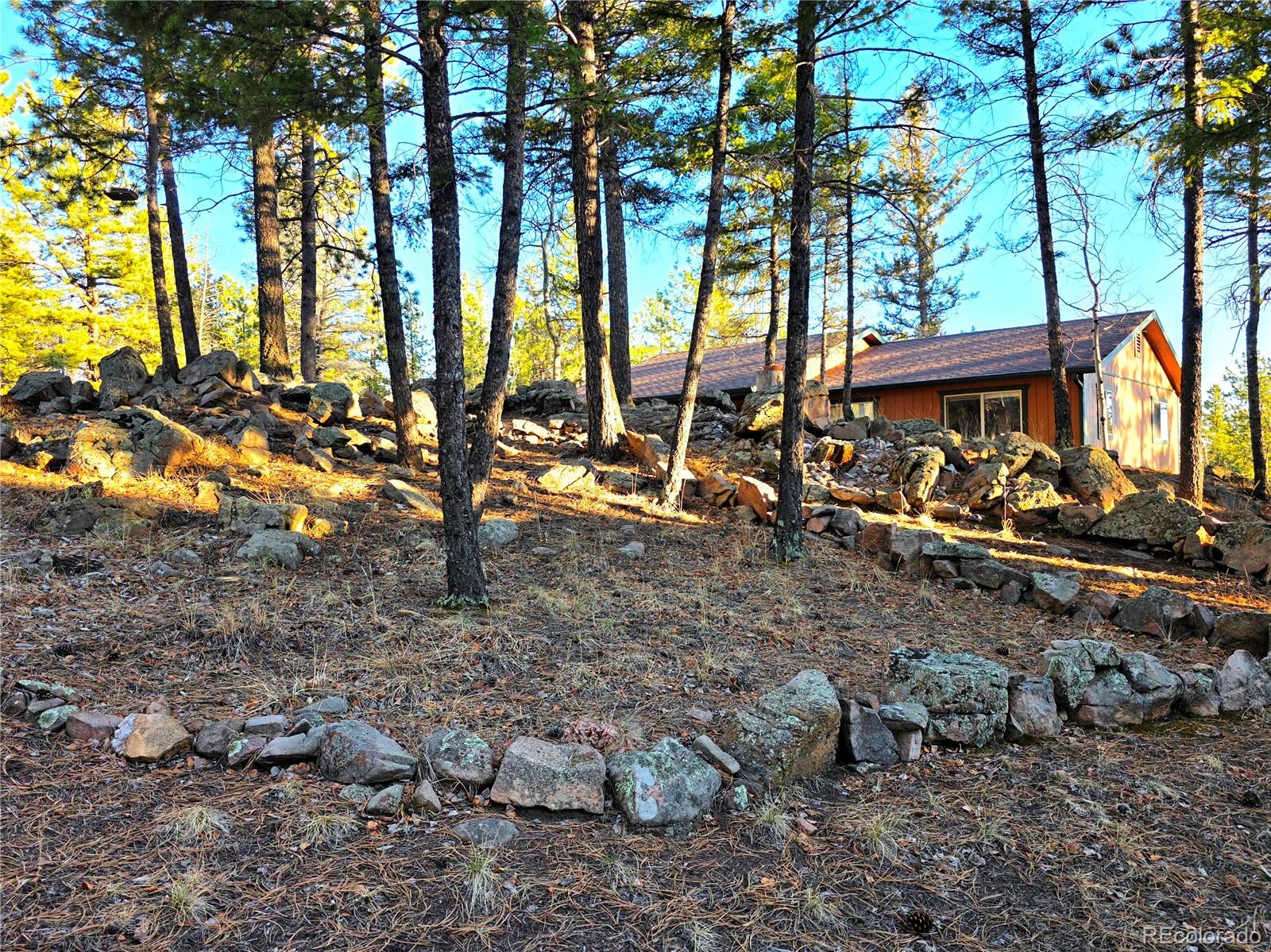 MLS Image #41 for 2063  vagabond creek drive,lake george, Colorado