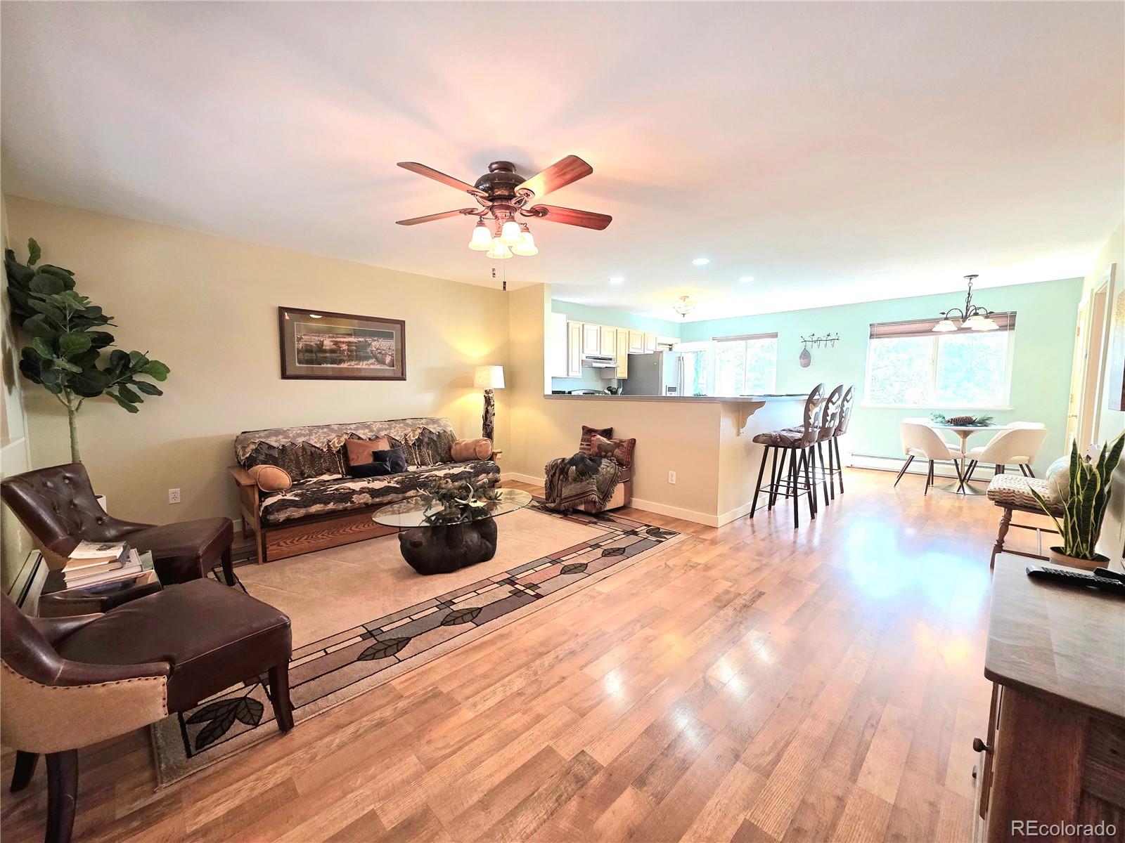 MLS Image #6 for 2063  vagabond creek drive,lake george, Colorado