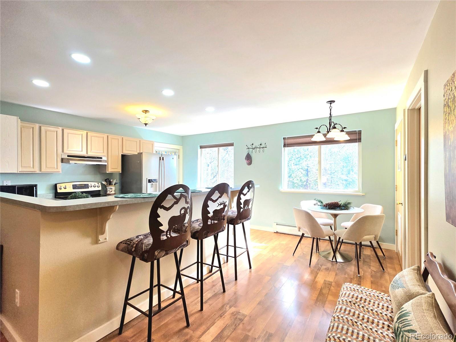 MLS Image #8 for 2063  vagabond creek drive,lake george, Colorado