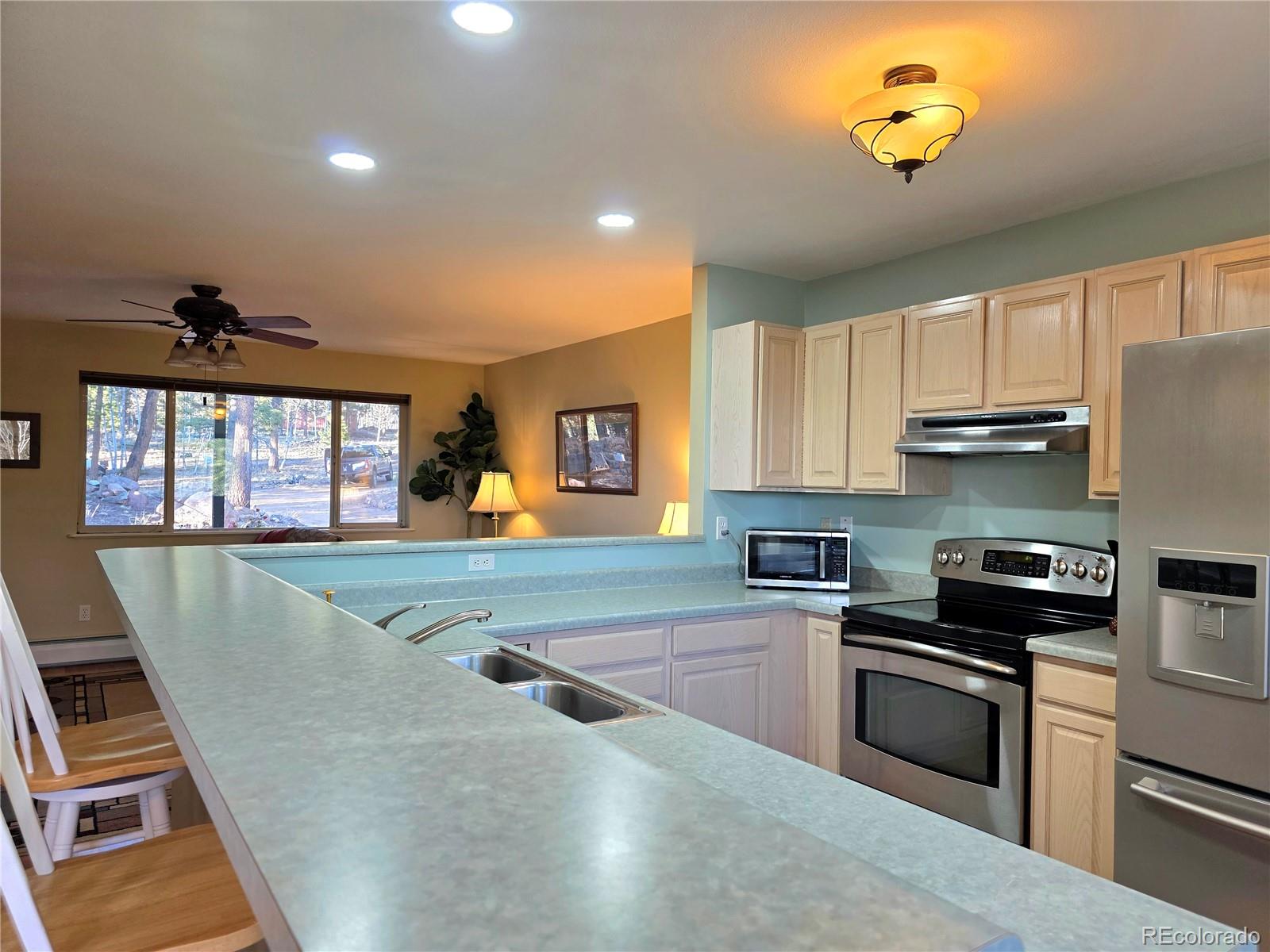 MLS Image #9 for 2063  vagabond creek drive,lake george, Colorado