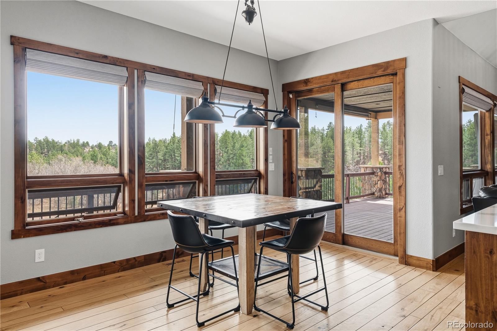 MLS Image #11 for 2152  lost canyon ranch court,castle rock, Colorado