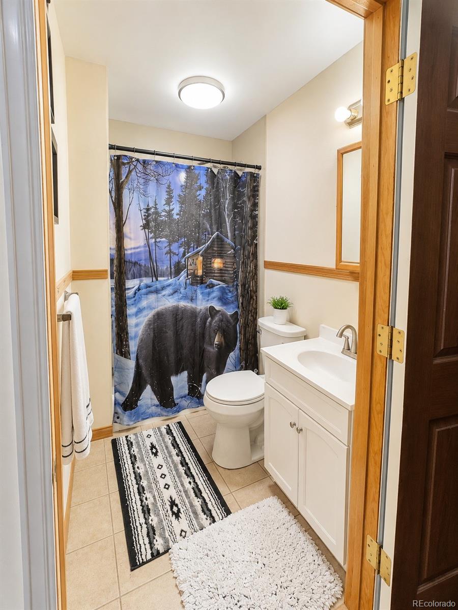 MLS Image #11 for 470  lakeview drive,drake, Colorado