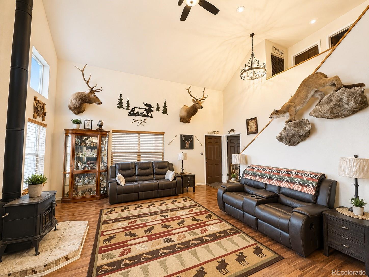 MLS Image #15 for 470  lakeview drive,drake, Colorado