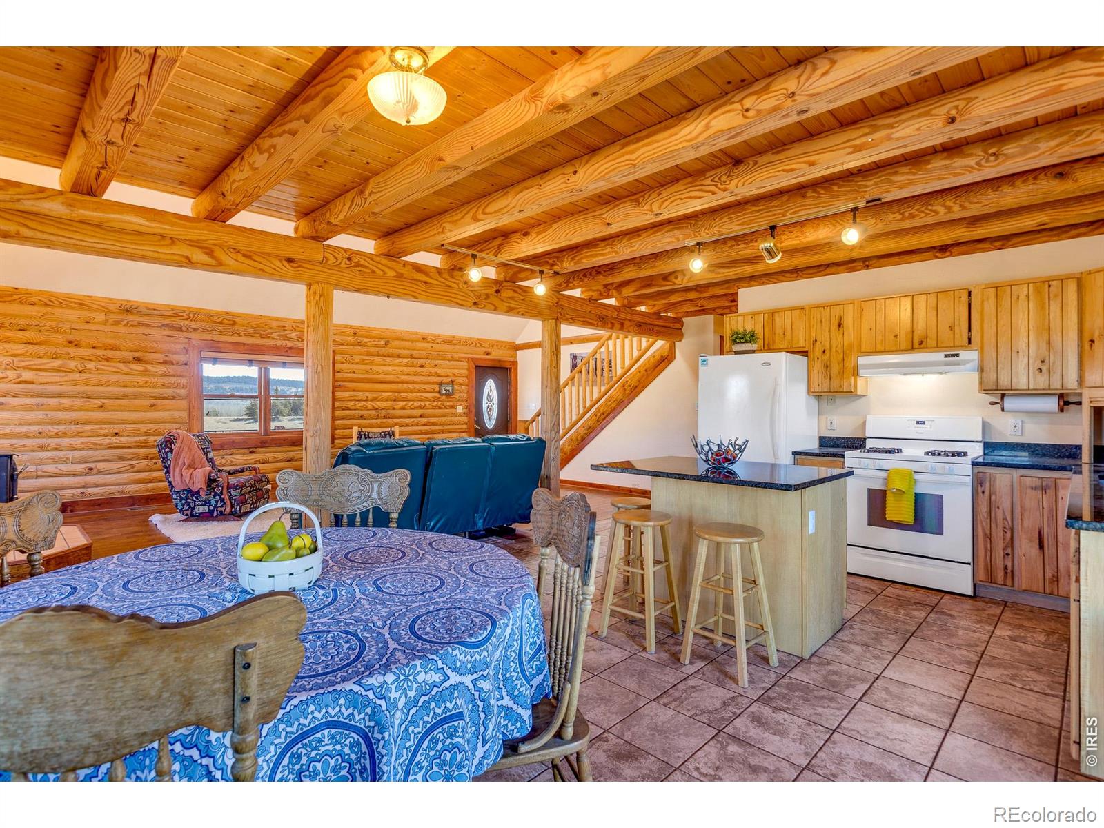 MLS Image #10 for 1528  silverheels road,fairplay, Colorado
