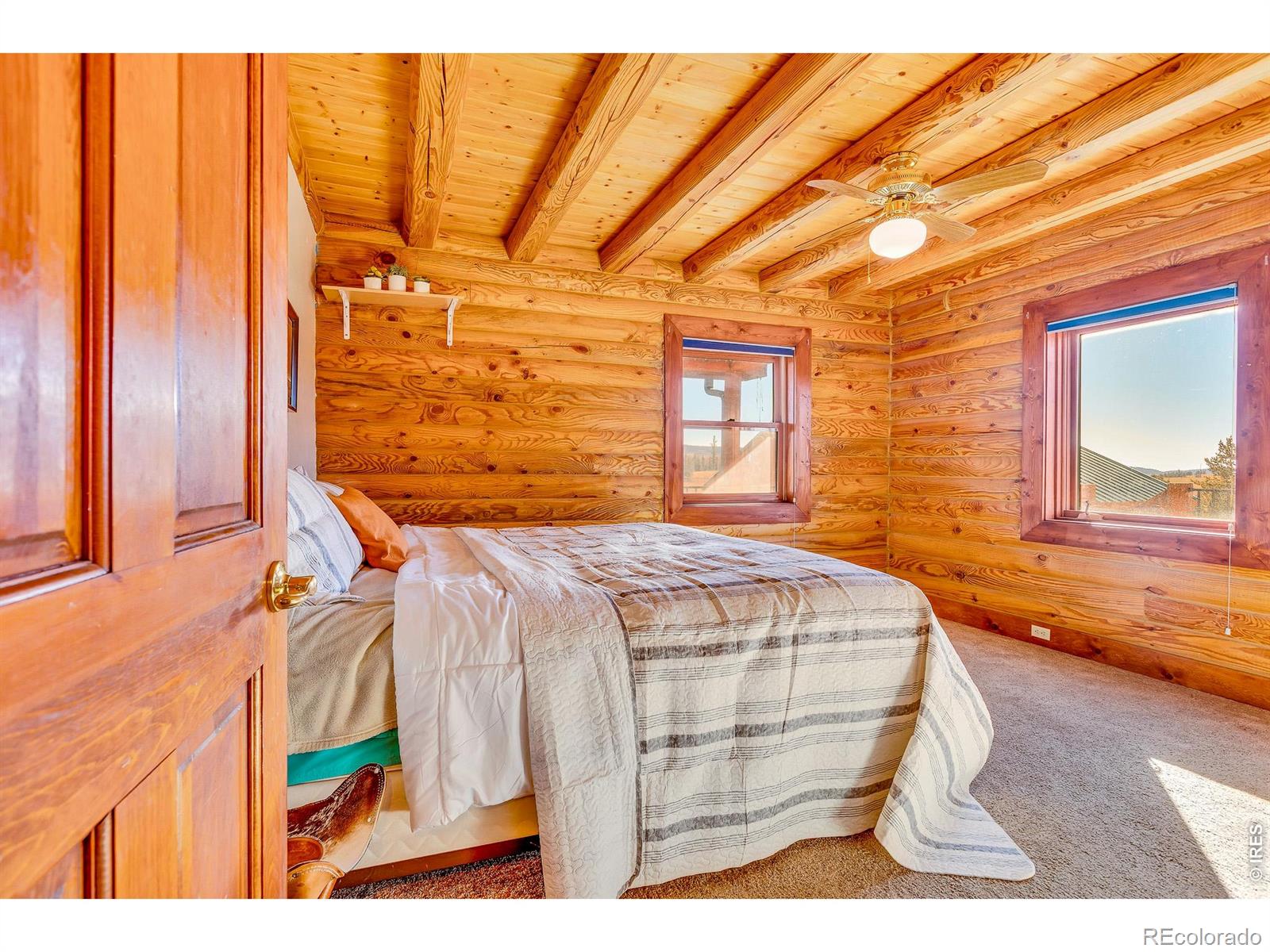 MLS Image #16 for 1528  silverheels road,fairplay, Colorado
