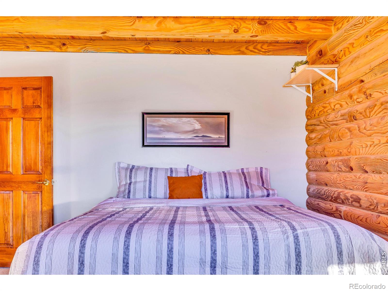 MLS Image #17 for 1528  silverheels road,fairplay, Colorado